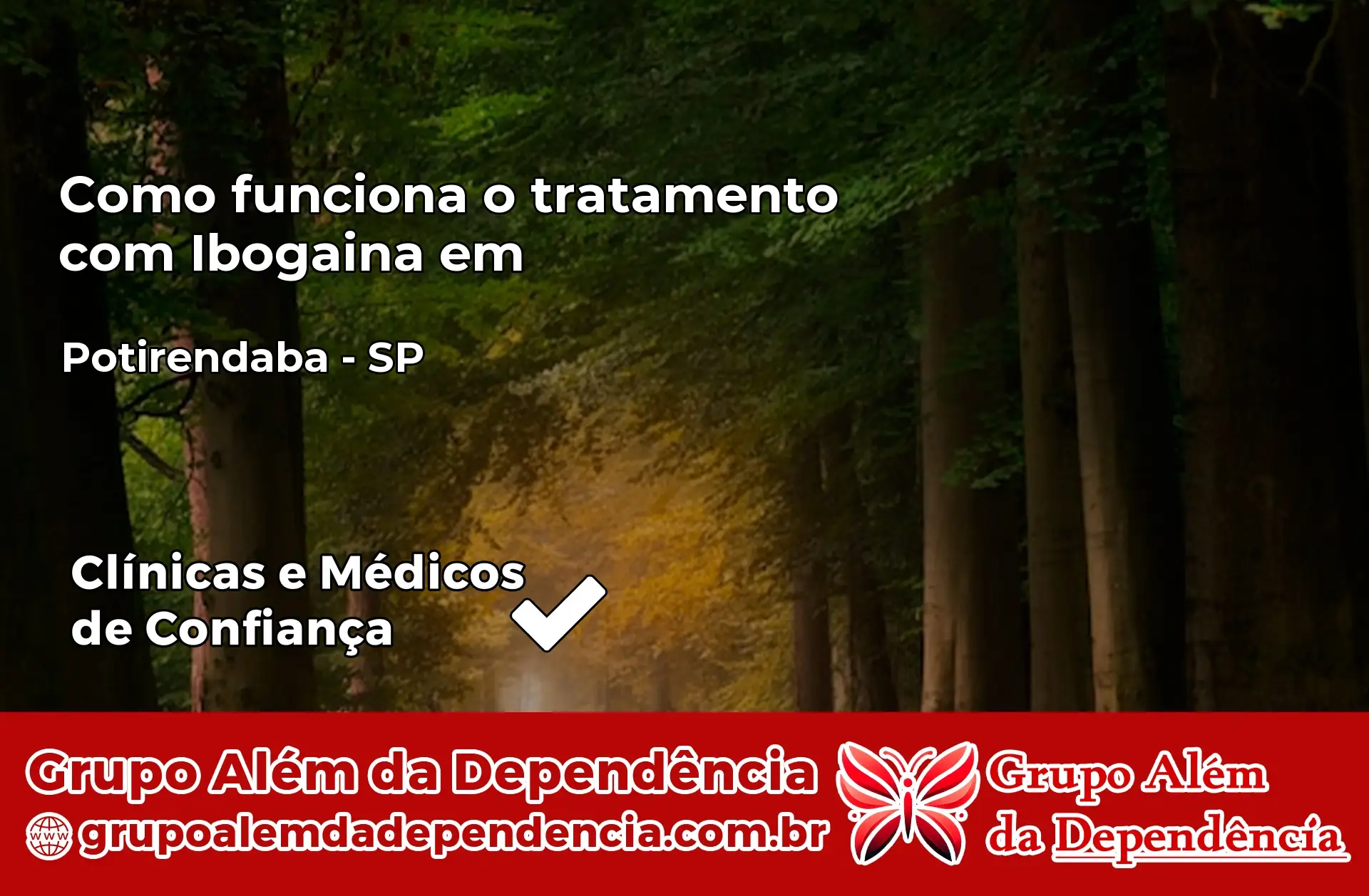 Como Funciona Ibogaína em Potirendaba – SP