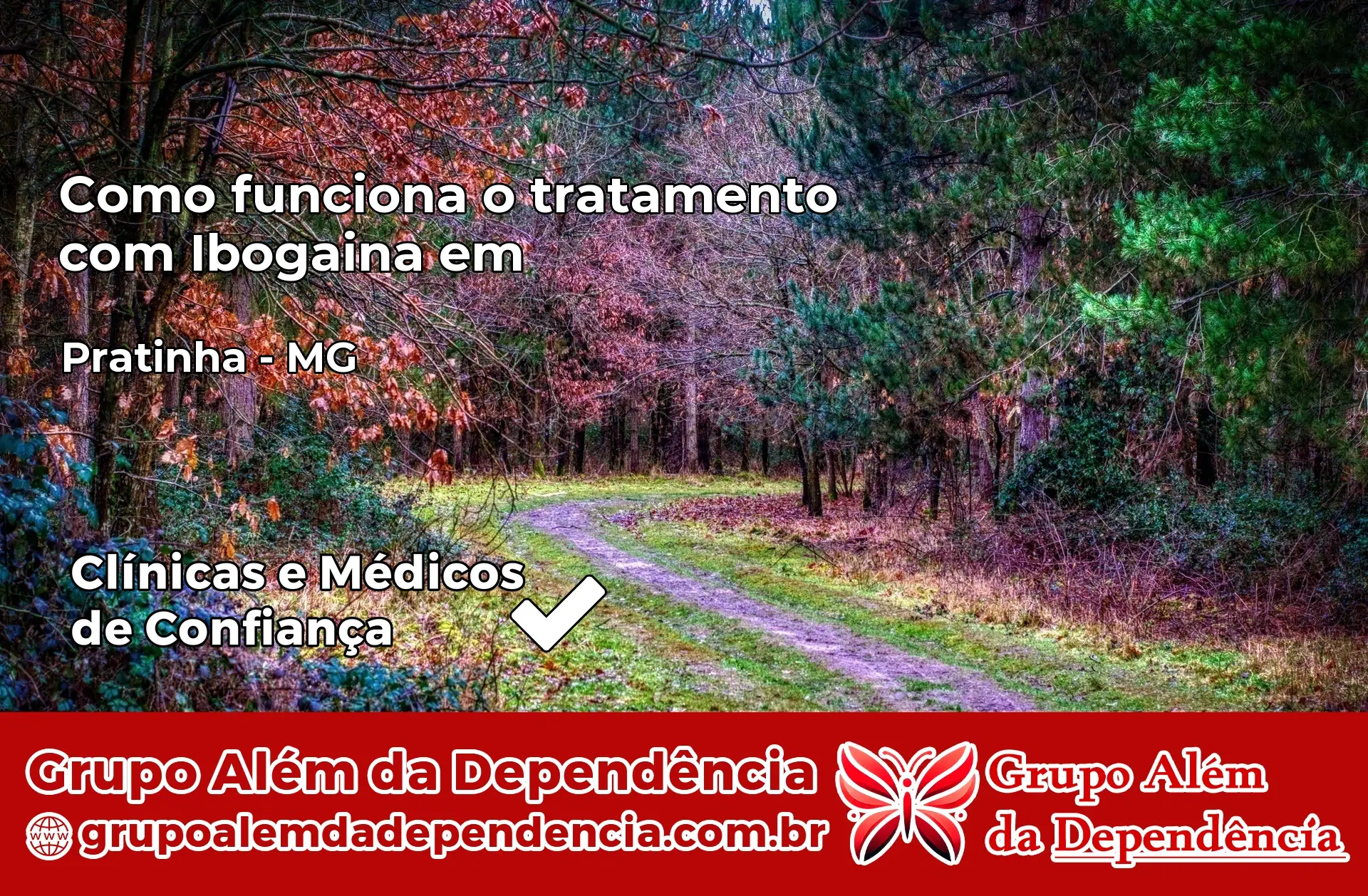 Como Funciona Ibogaína em Pratinha – MG