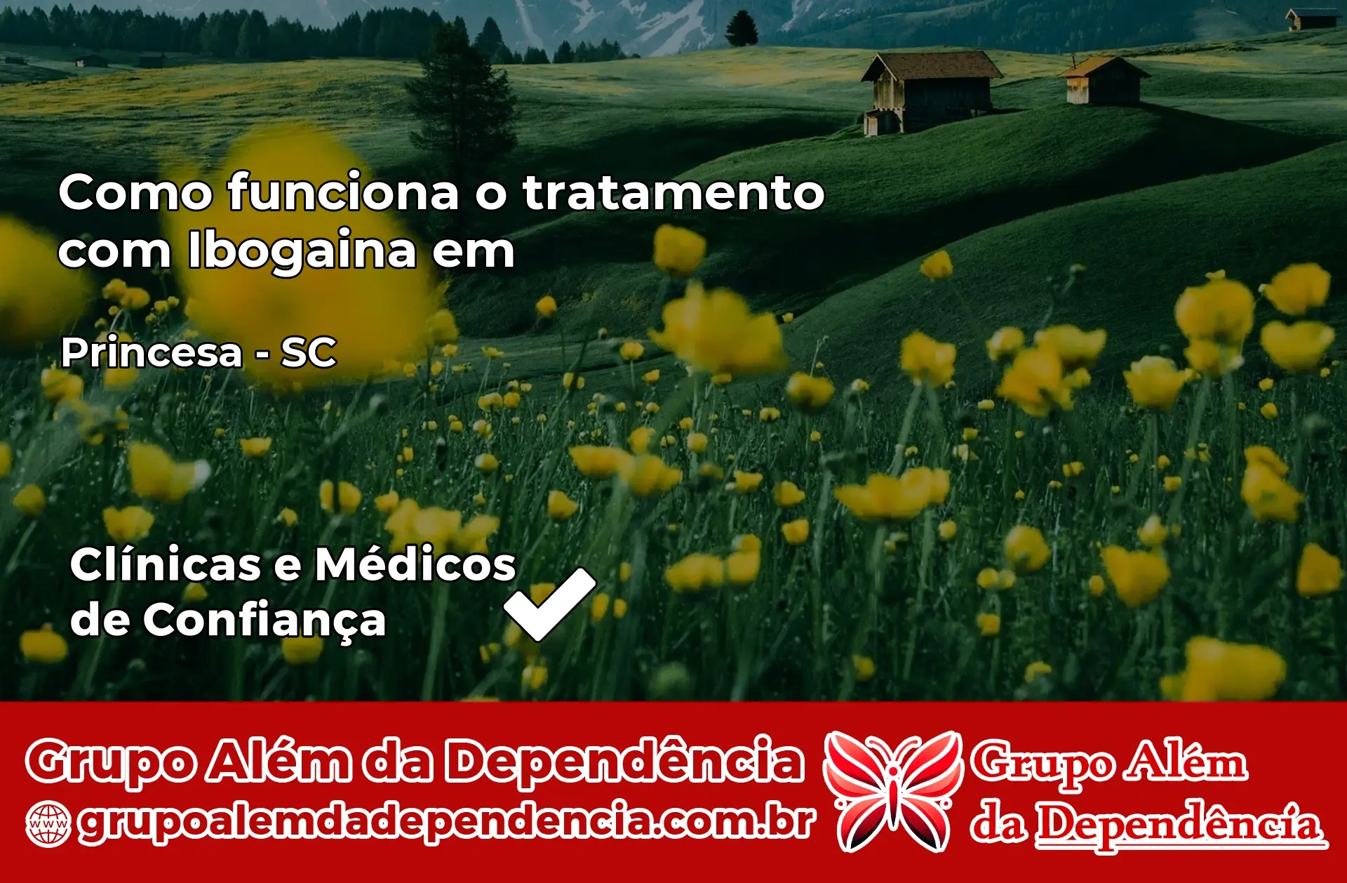 Como Funciona Ibogaína em Princesa – SC