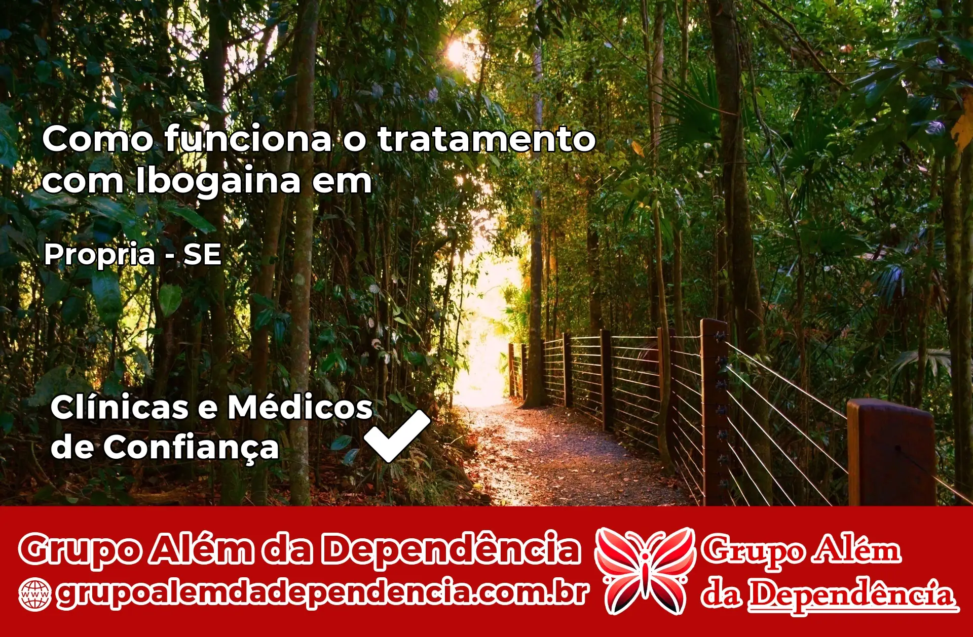Como Funciona Ibogaína em Propriá – SE