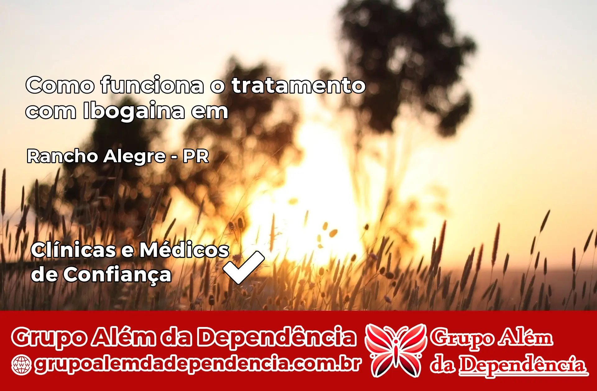 Como Funciona Ibogaína em Rancho Alegre – PR
