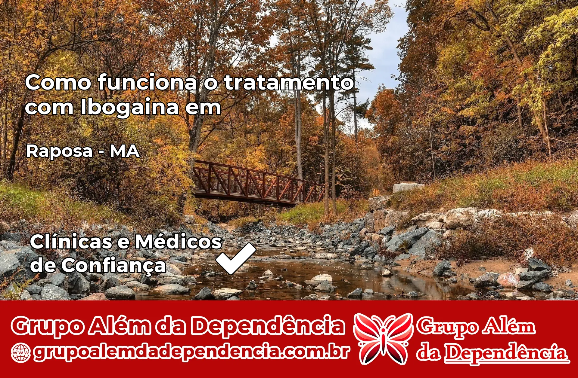 Como Funciona Ibogaína em Raposa – MA