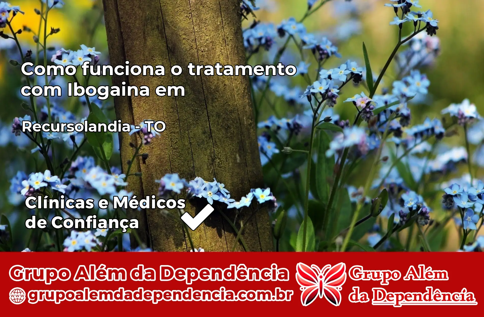 Como Funciona Ibogaína em Recursolândia – TO