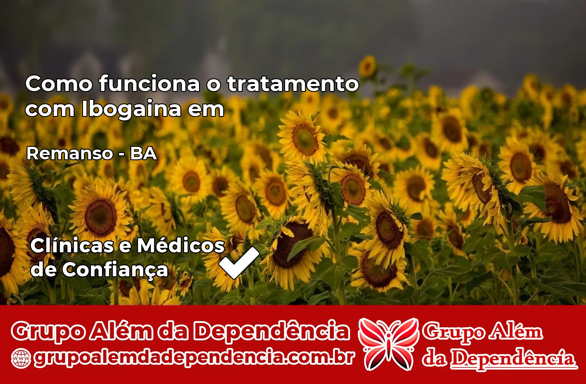 Como Funciona Ibogaína em Remanso – BA