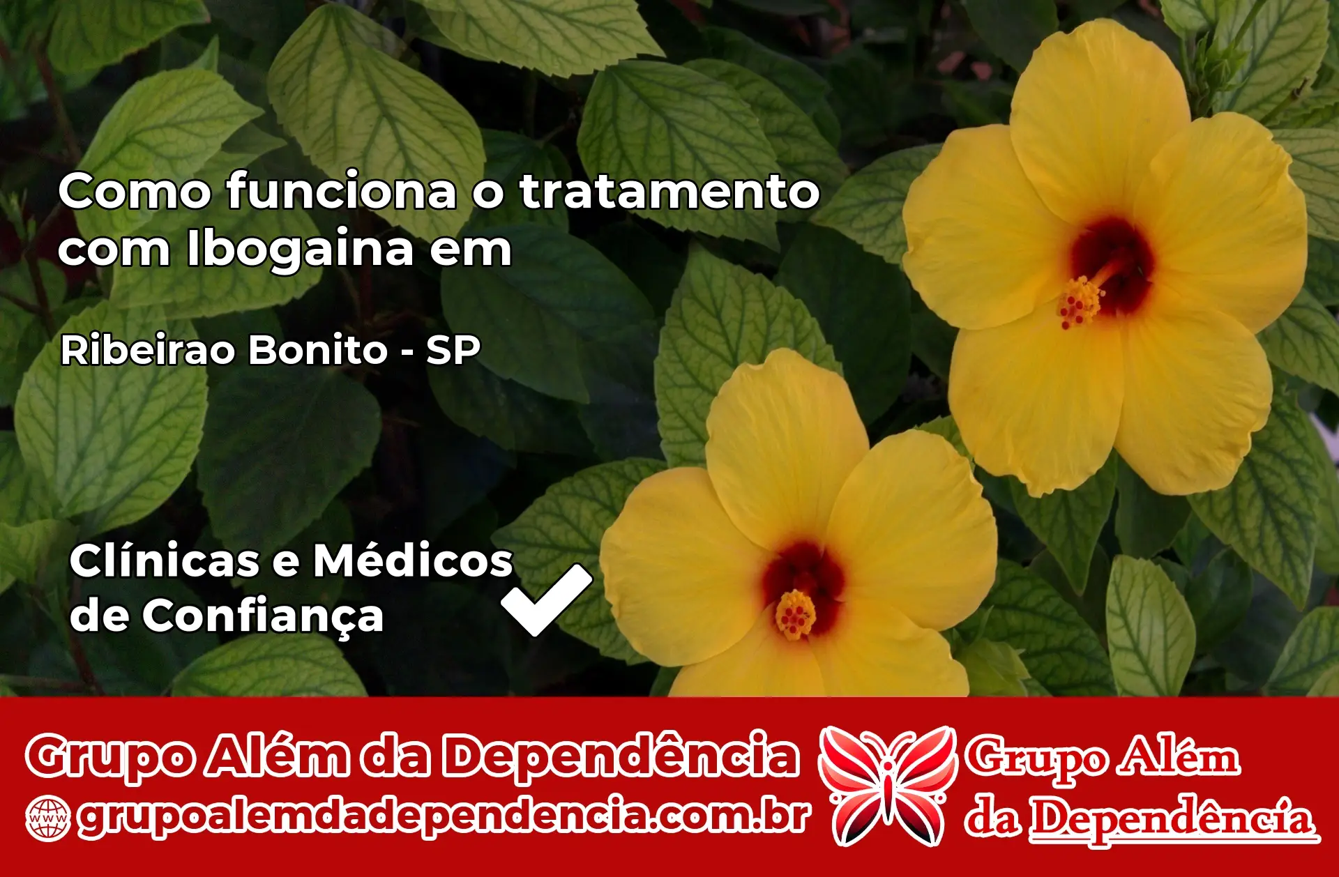 Como Funciona Ibogaína em Ribeirão Bonito – SP