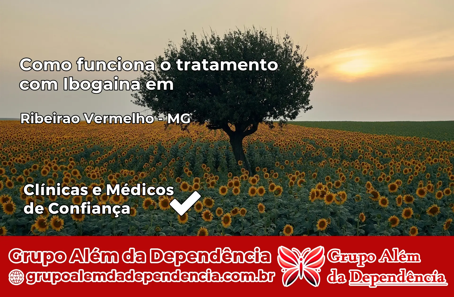 Como Funciona Ibogaína em Ribeirão Vermelho – MG