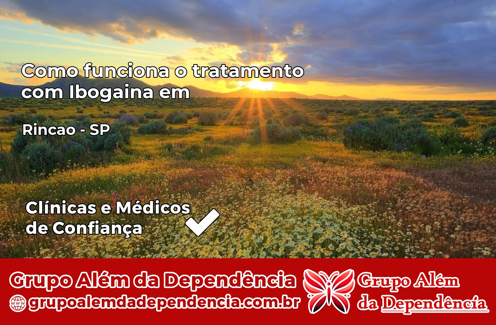 Como Funciona Ibogaína em Rincão – SP