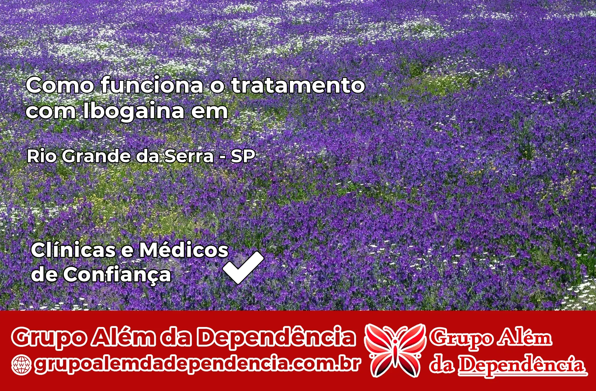 Como Funciona Ibogaína em Rio Grande da Serra – SP