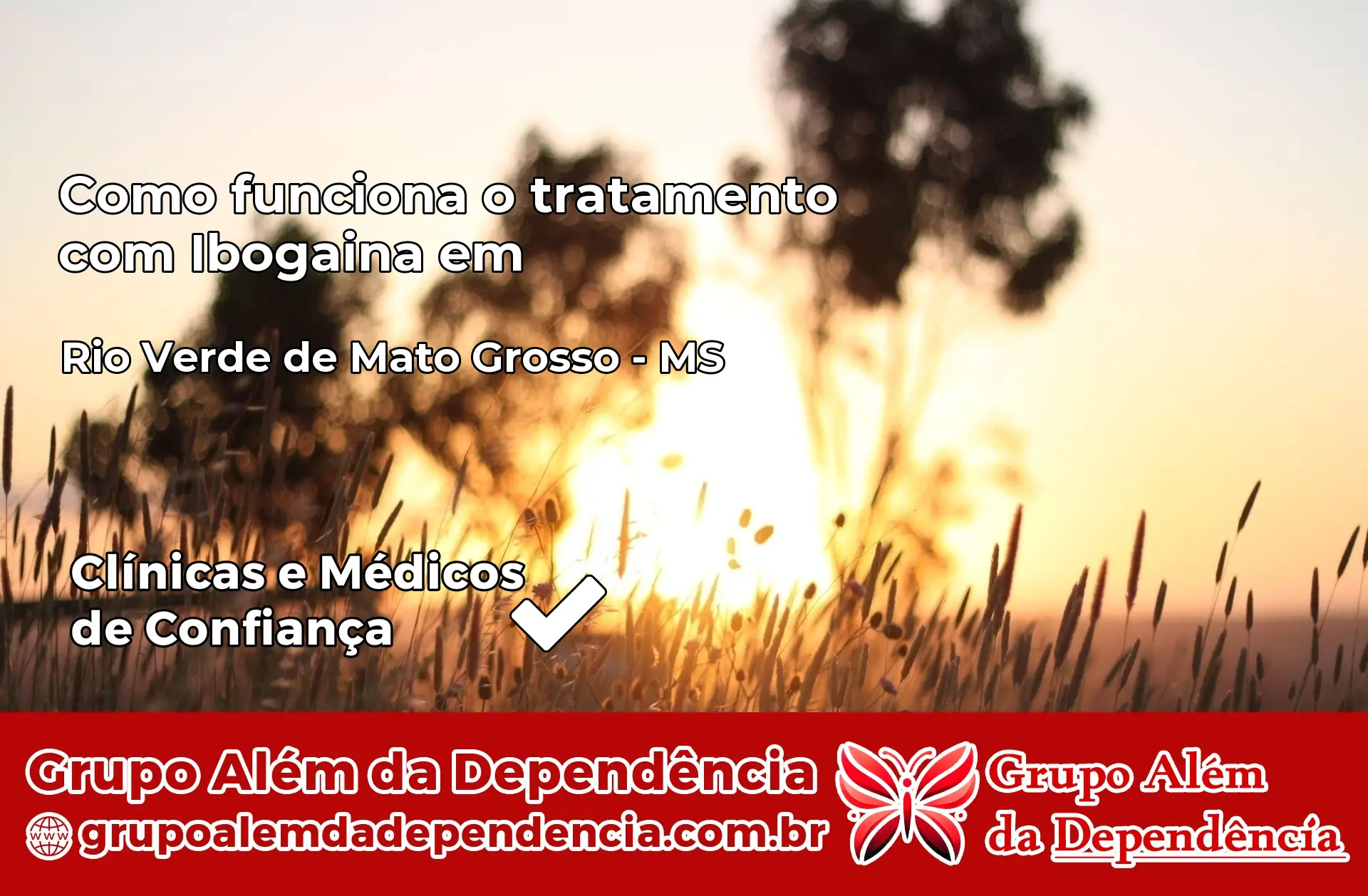 Como Funciona Ibogaína em Rio Verde de Mato Grosso – MS