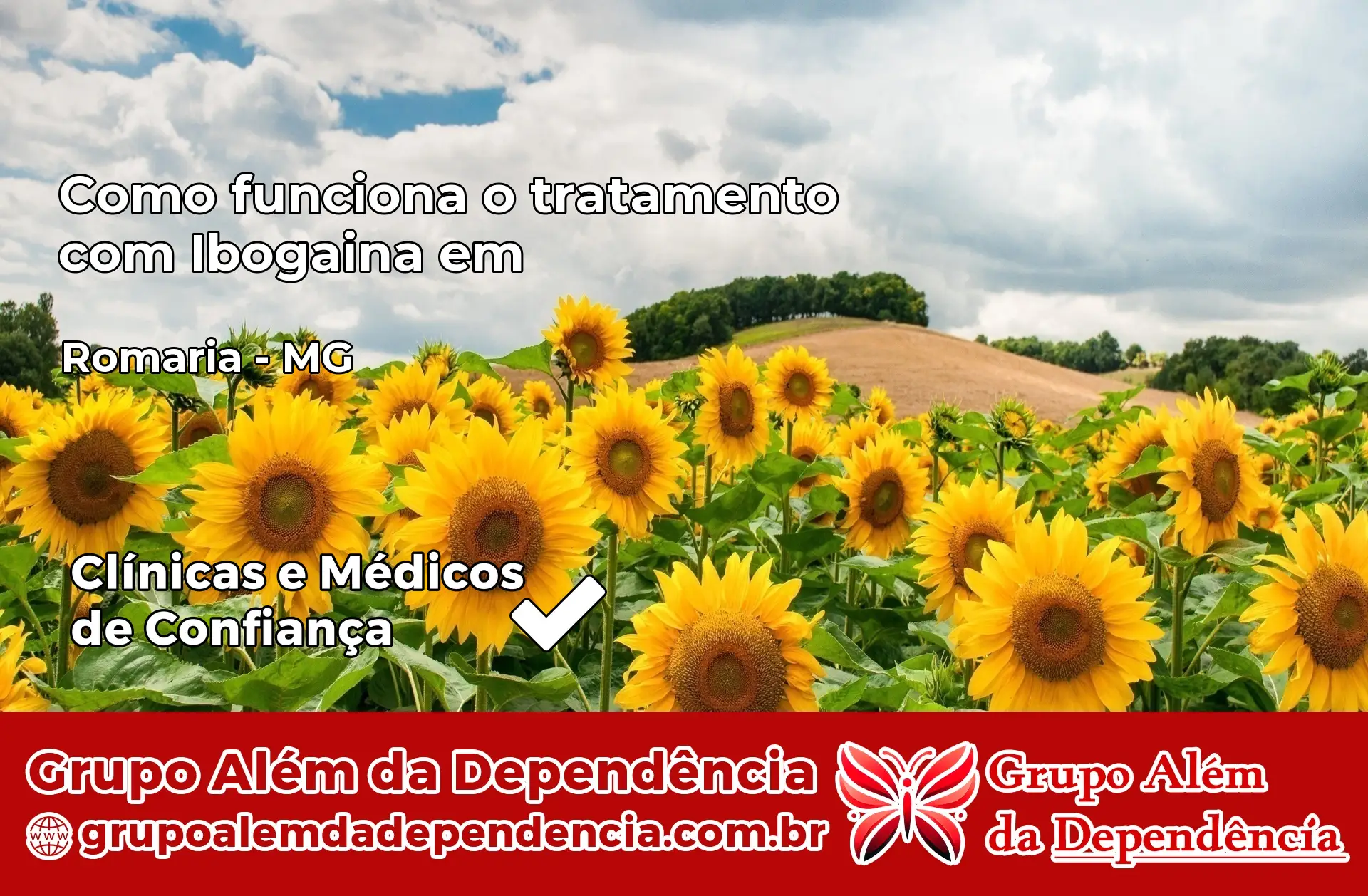 Como Funciona Ibogaína em Romaria – MG