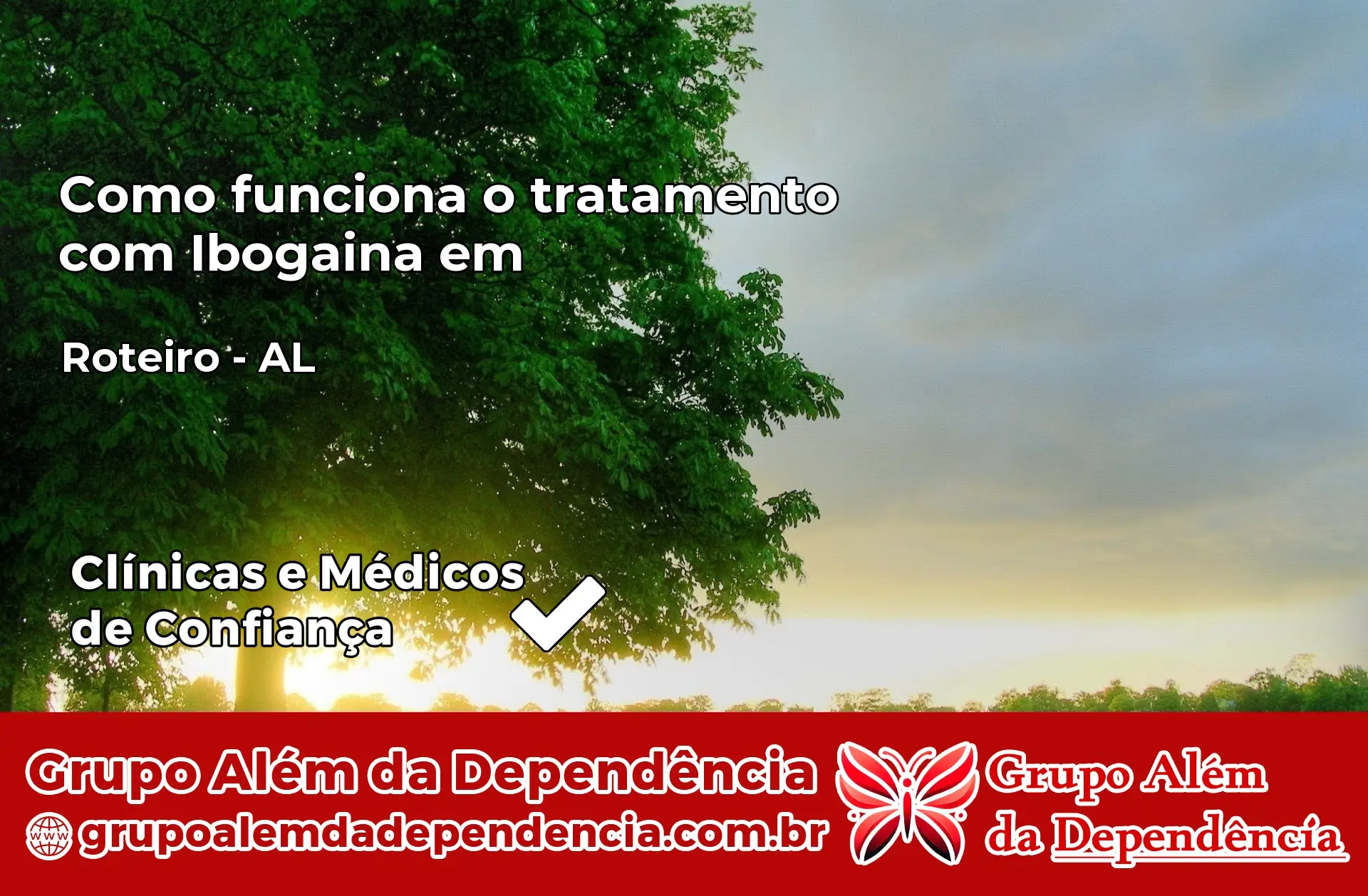 Como Funciona Ibogaína em Roteiro – AL