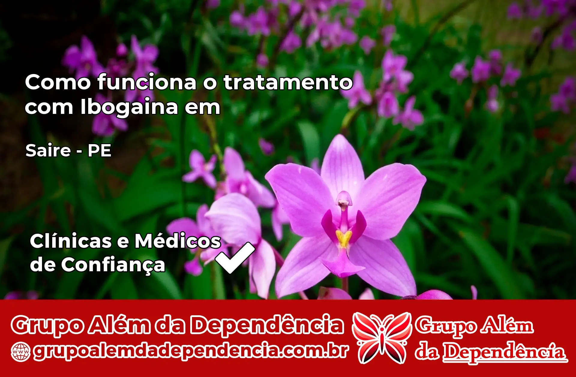 Como Funciona Ibogaína em Sairé – PE