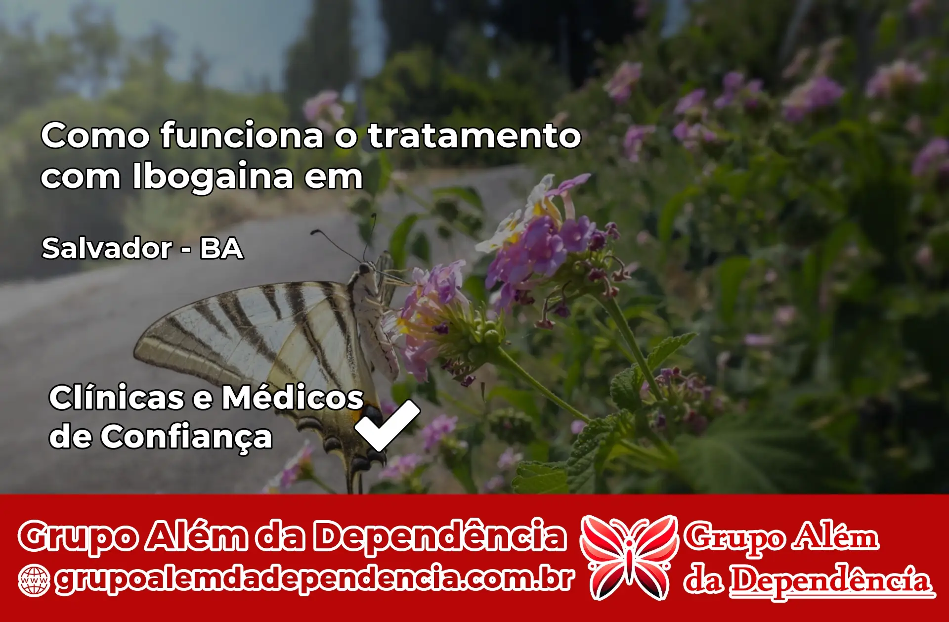 Como Funciona Ibogaína em Salvador – BA