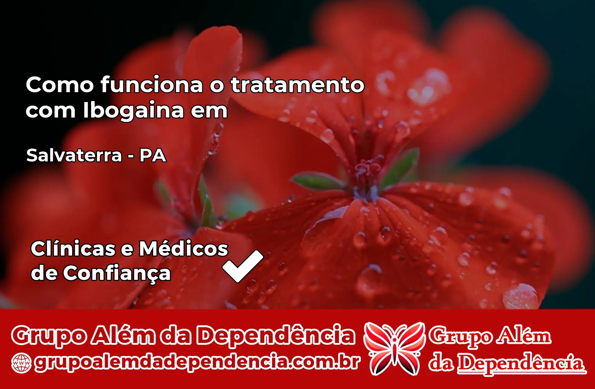Como Funciona Ibogaína em Salvaterra – PA