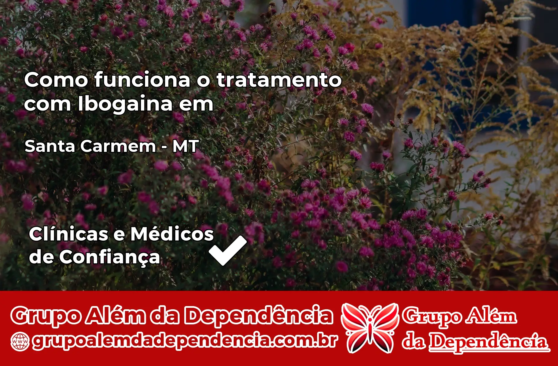 Como Funciona Ibogaína em Santa Carmem – MT