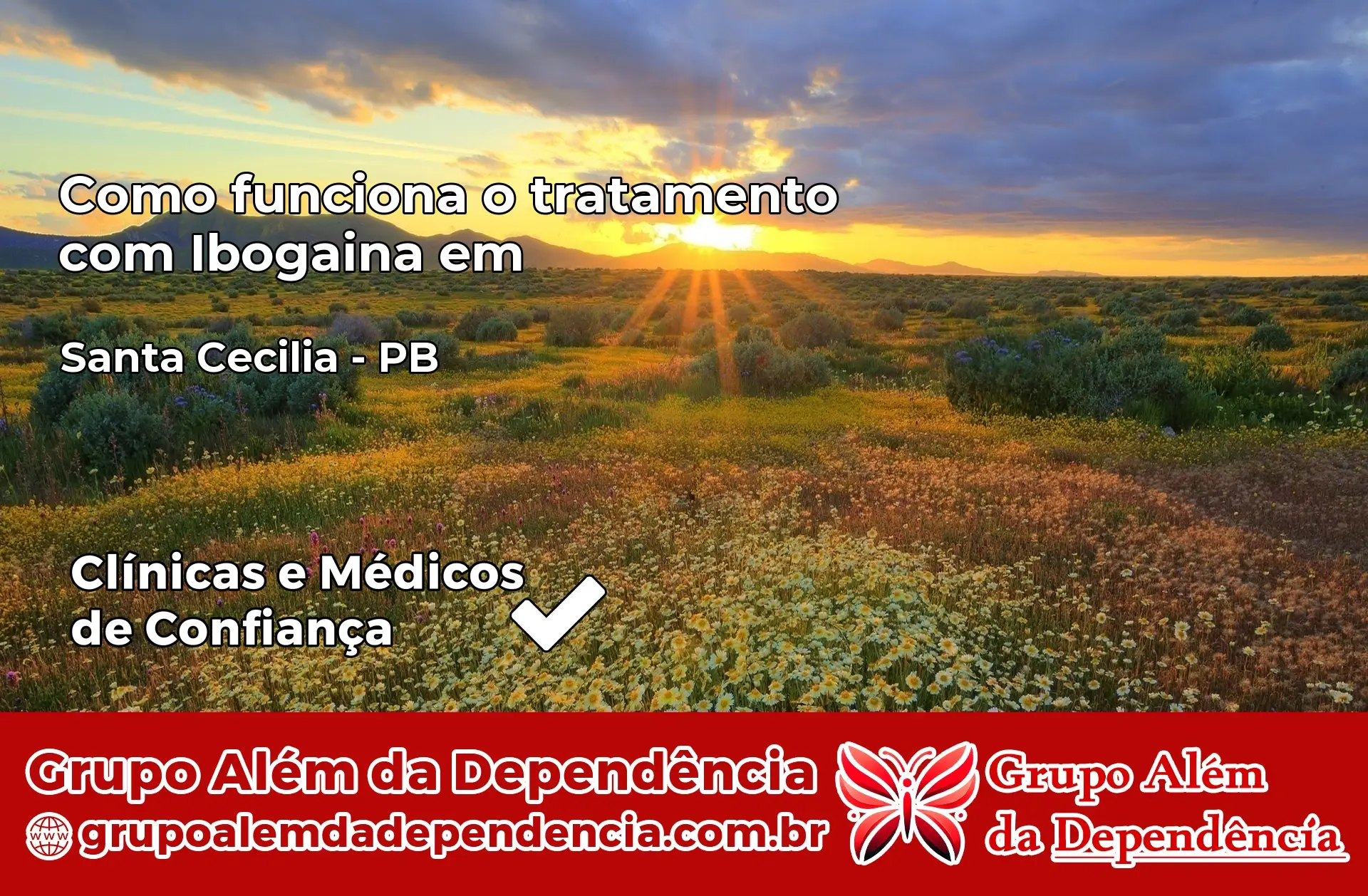 Como Funciona Ibogaína em Santa Cecília – PB