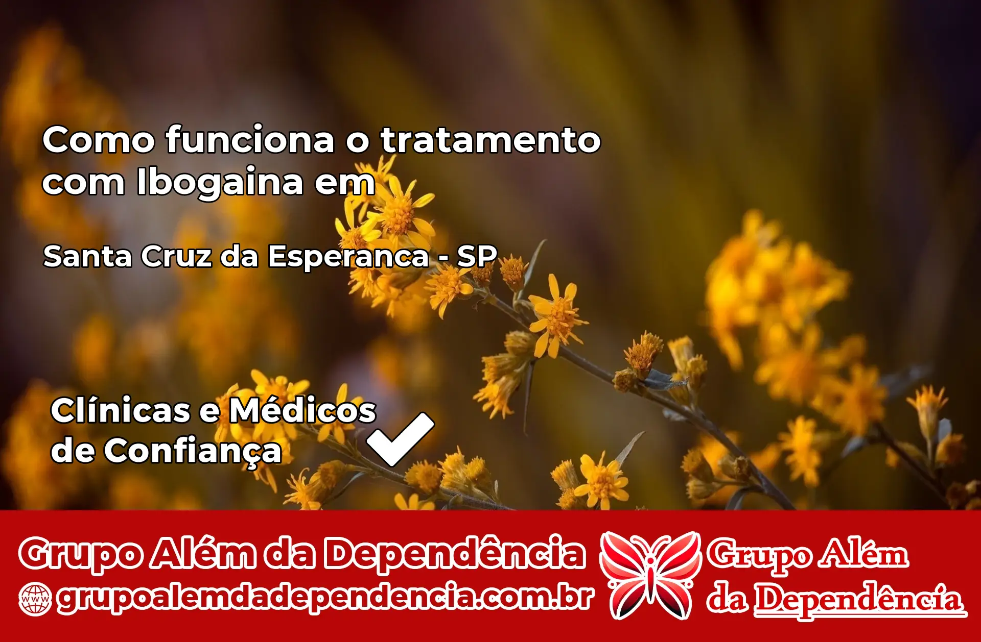 Como Funciona Ibogaína em Santa Cruz da Esperança – SP