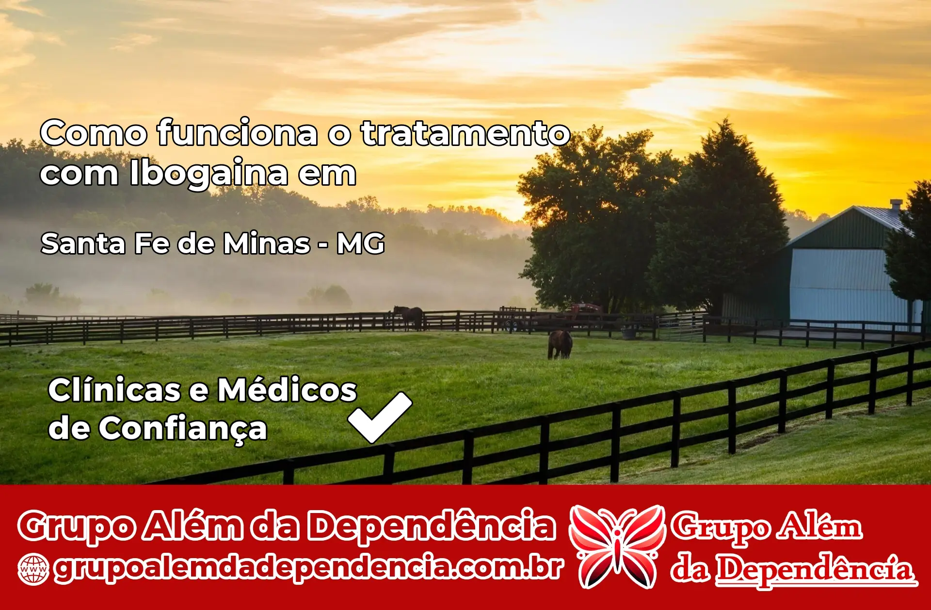 Como Funciona Ibogaína em Santa Fé de Minas – MG