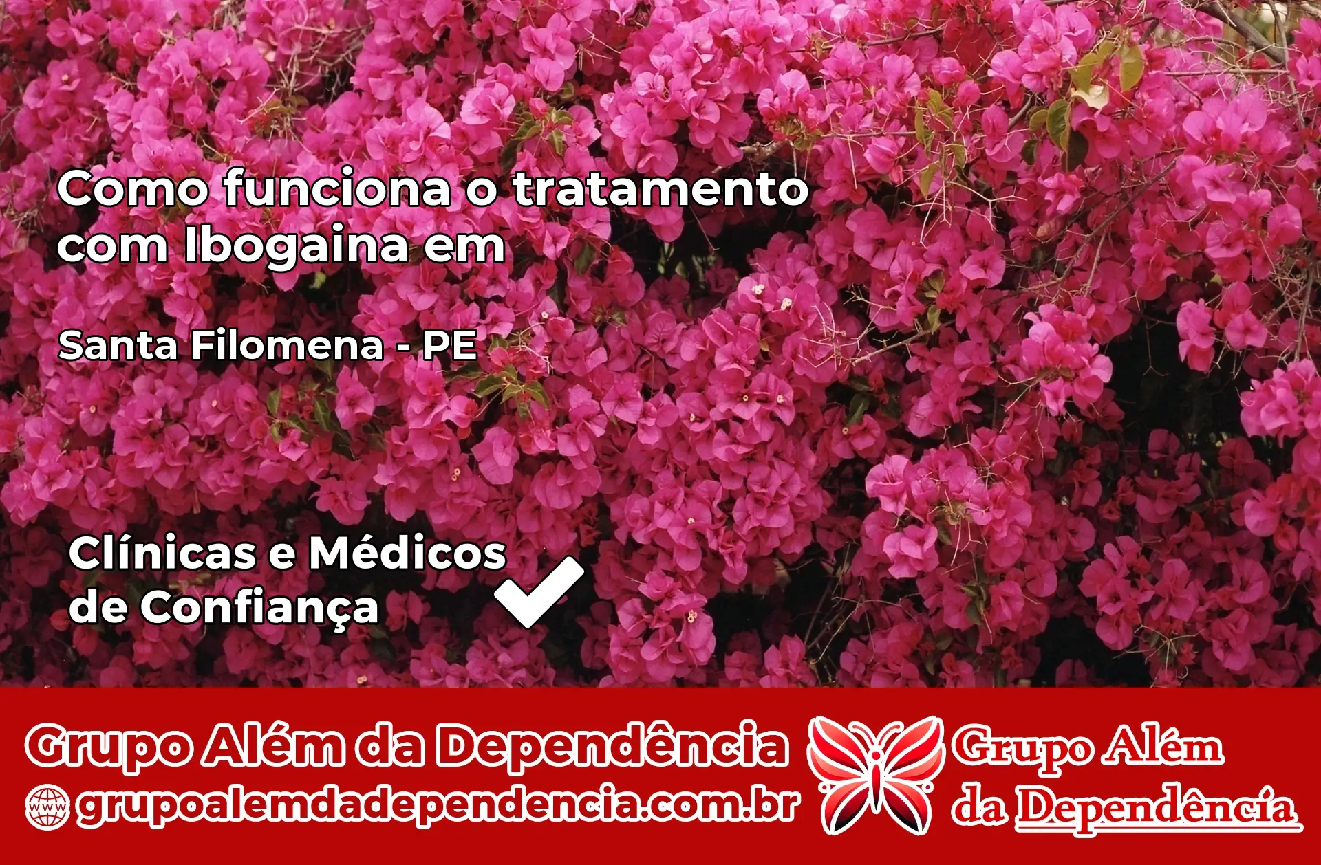Como Funciona Ibogaína em Santa Filomena – PE