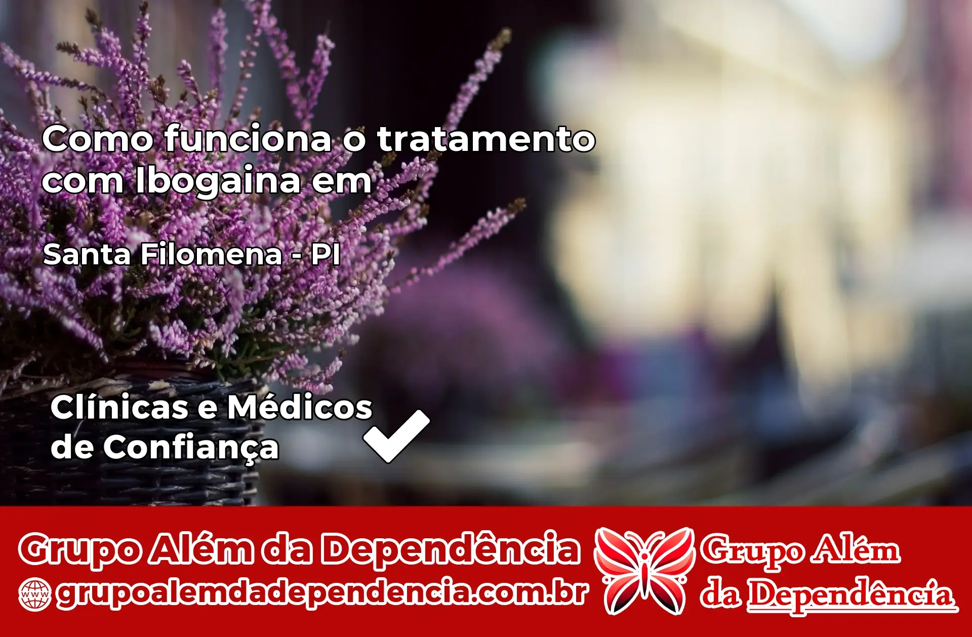 Como Funciona Ibogaína em Santa Filomena – PI