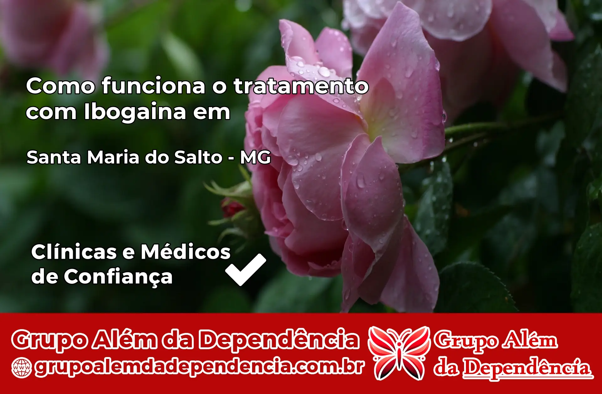 Como Funciona Ibogaína em Santa Maria do Salto – MG