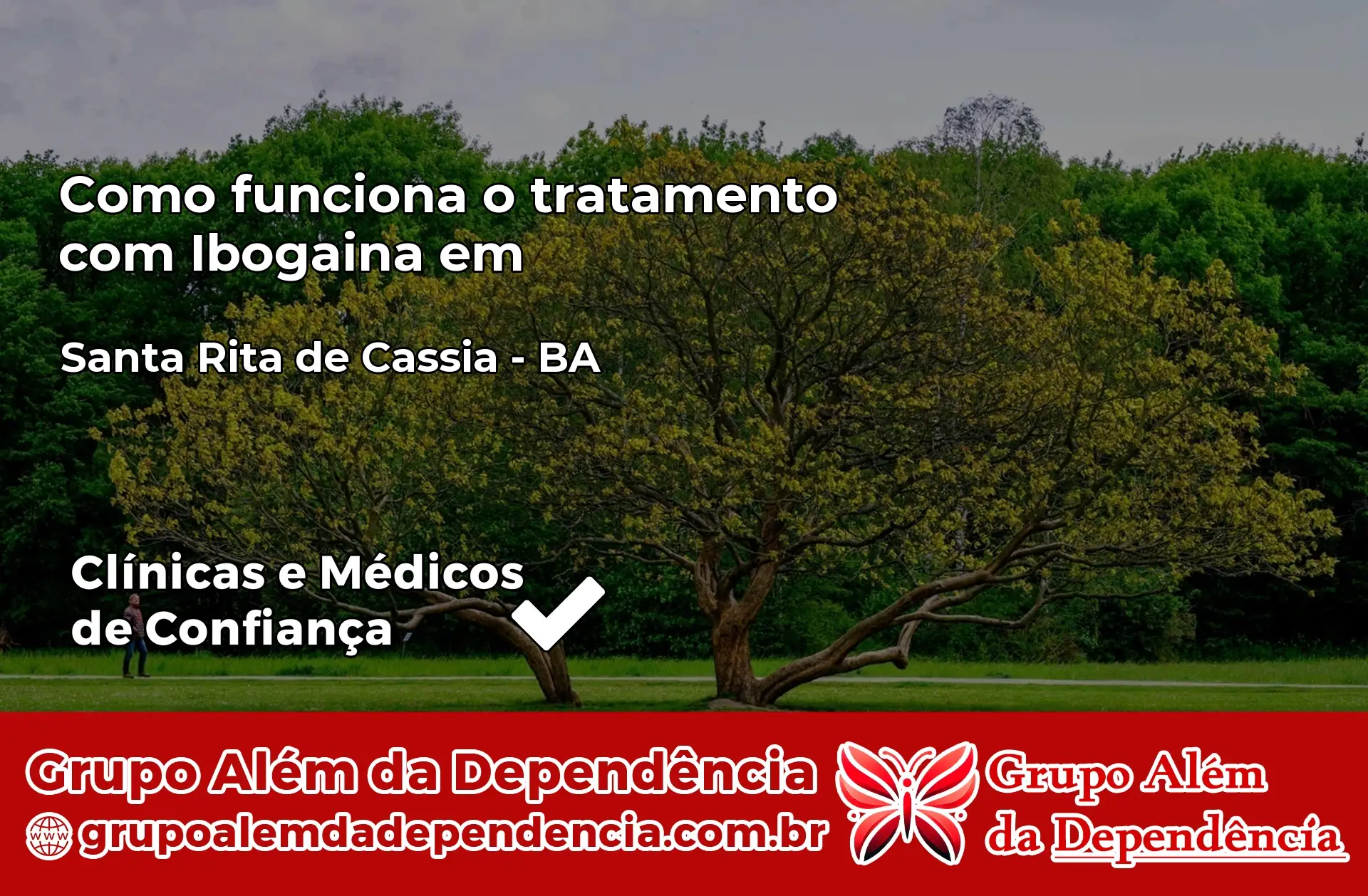 Como Funciona Ibogaína em Santa Rita de Cássia – BA