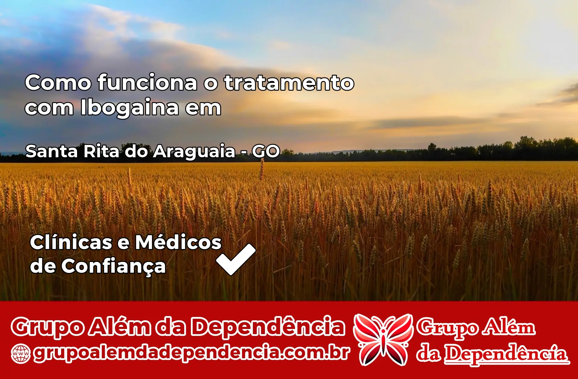 Como Funciona Ibogaína em Santa Rita do Araguaia – GO
