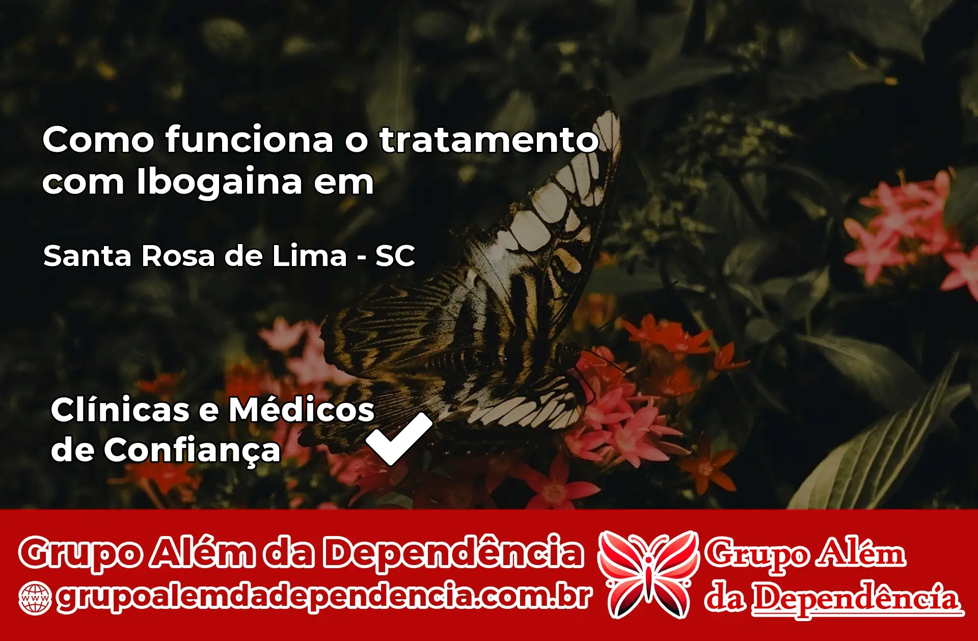 Como Funciona Ibogaína em Santa Rosa de Lima – SC