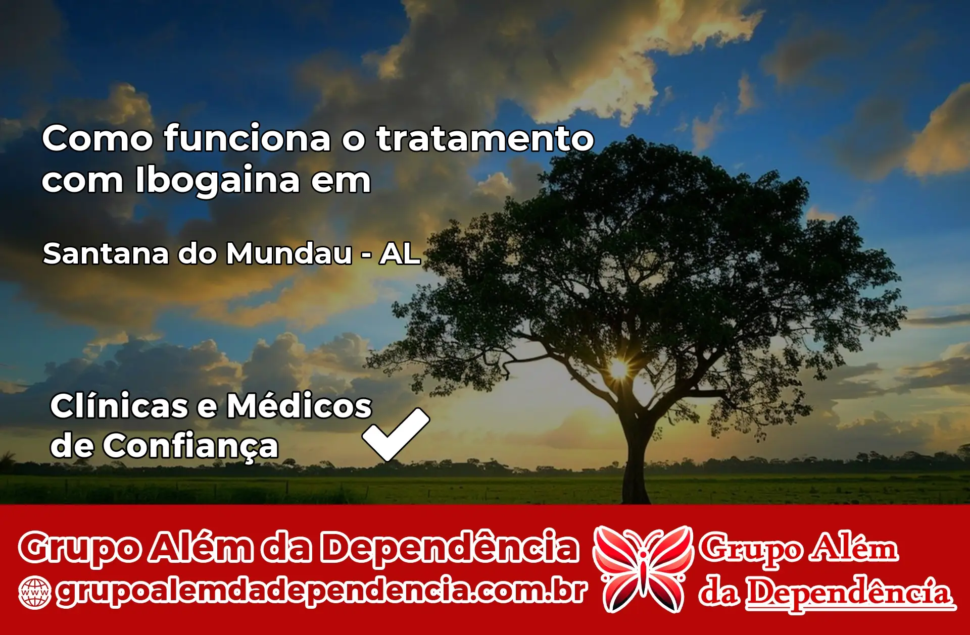 Como Funciona Ibogaína em Santana do Mundaú – AL
