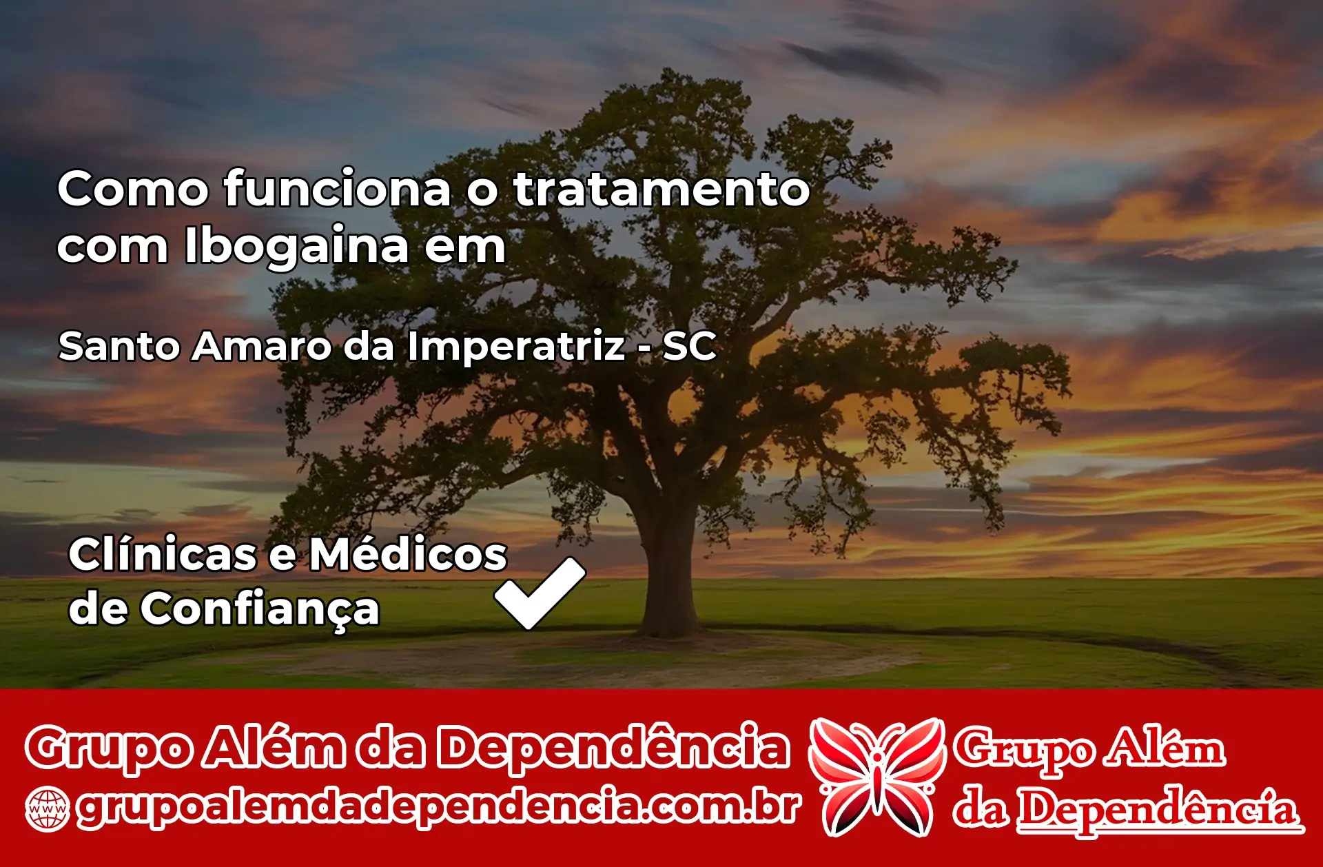 Como Funciona Ibogaína em Santo Amaro da Imperatriz – SC