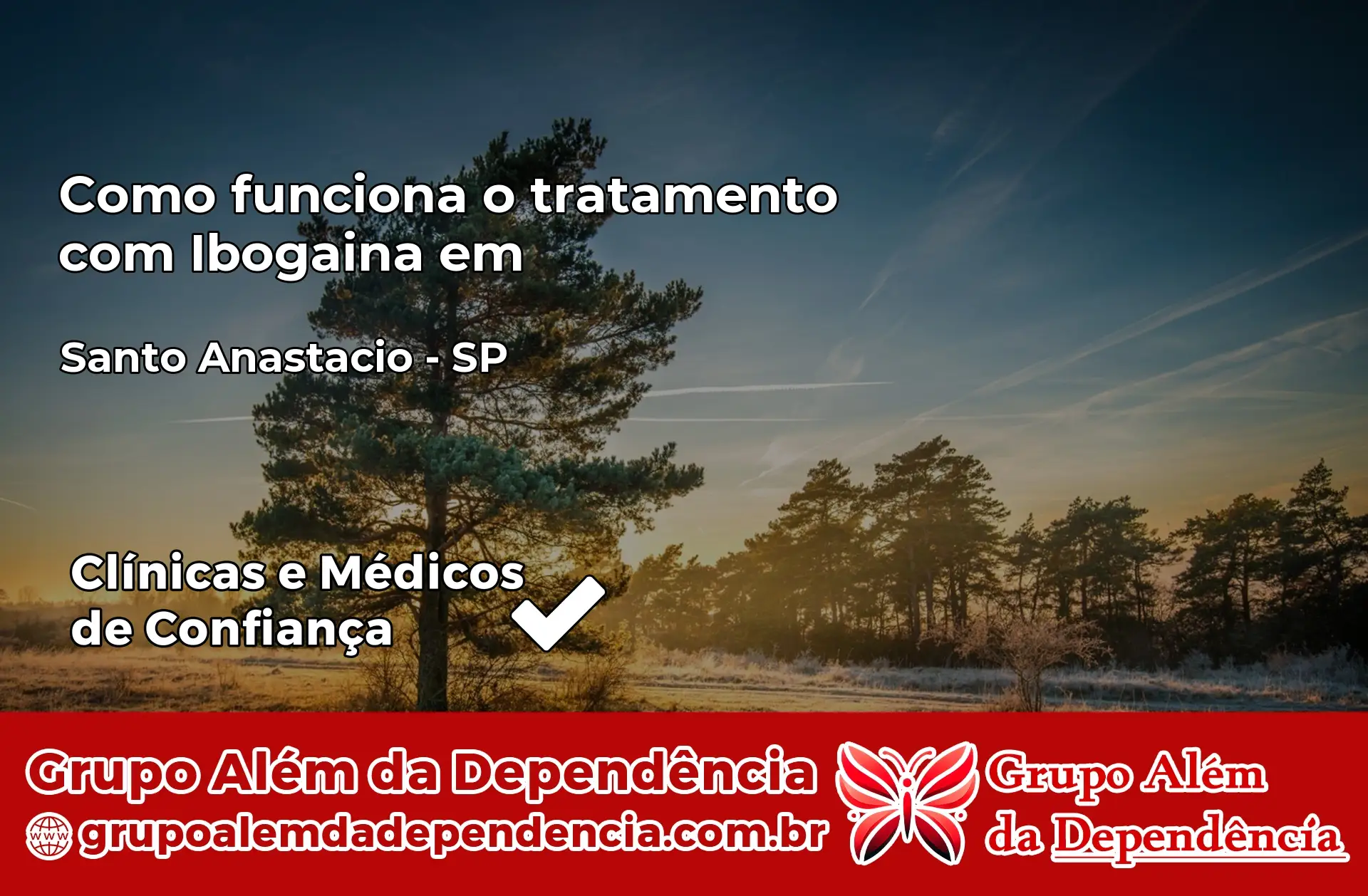 Como Funciona Ibogaína em Santo Anastácio – SP