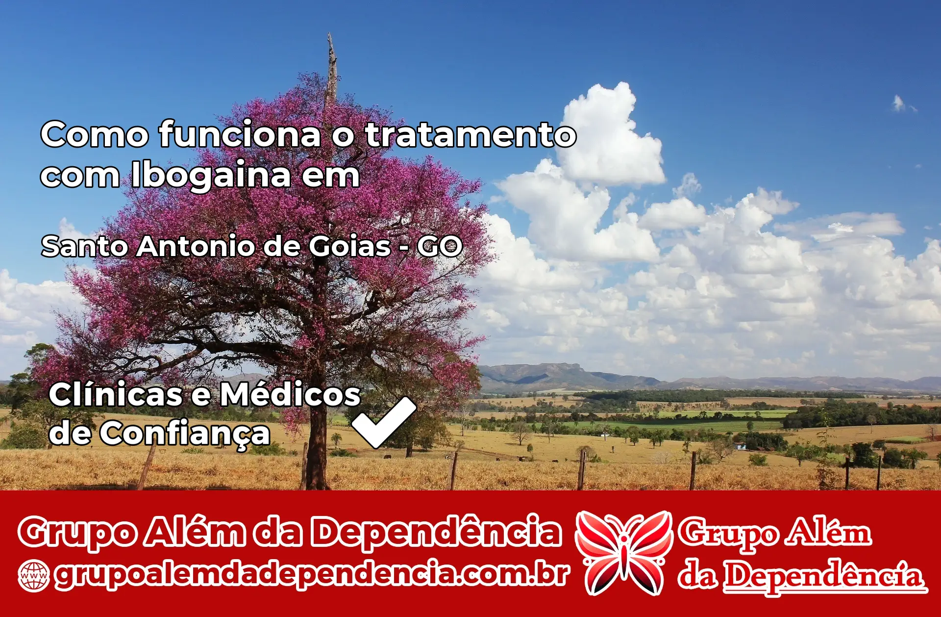 Como Funciona Ibogaína em Santo Antônio de Goiás – GO
