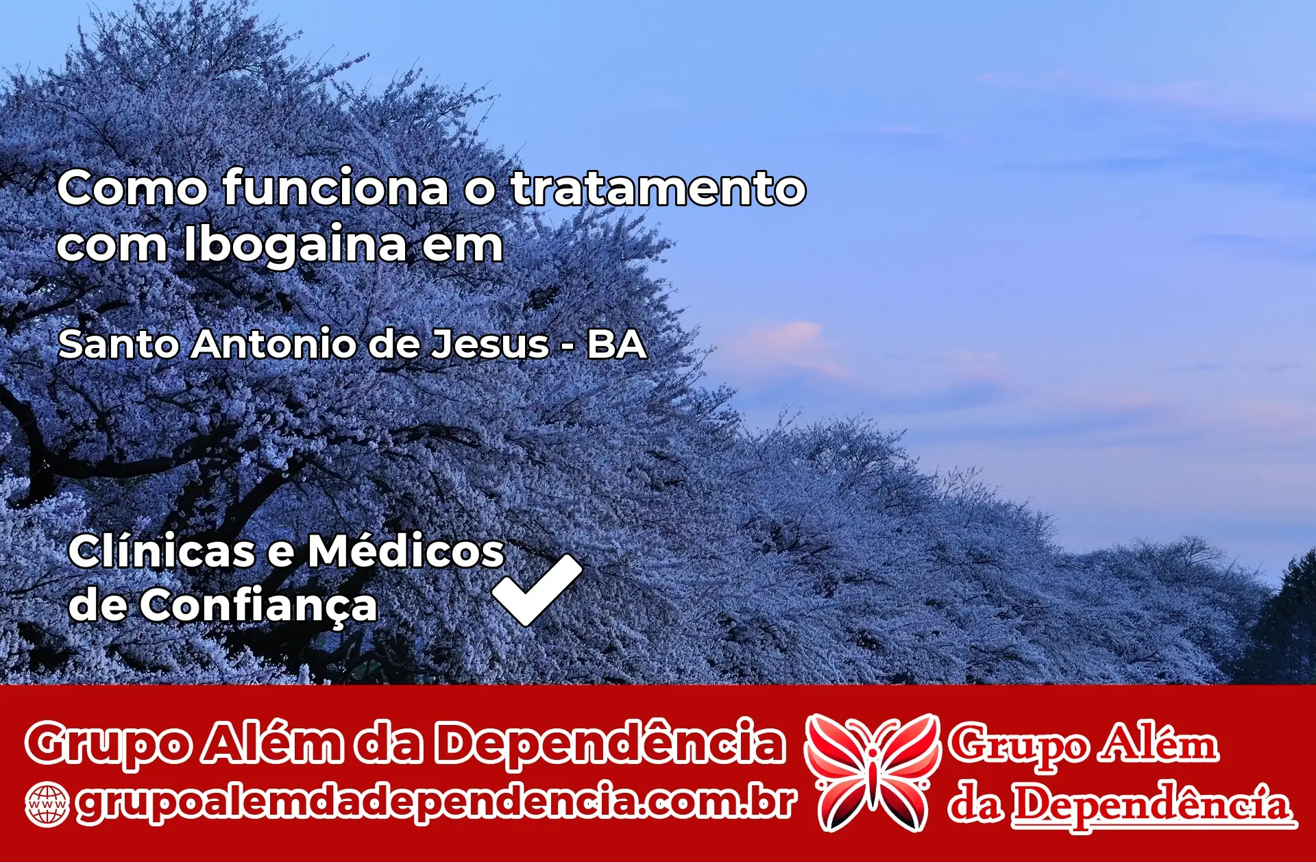 Como Funciona Ibogaína em Santo Antônio de Jesus – BA