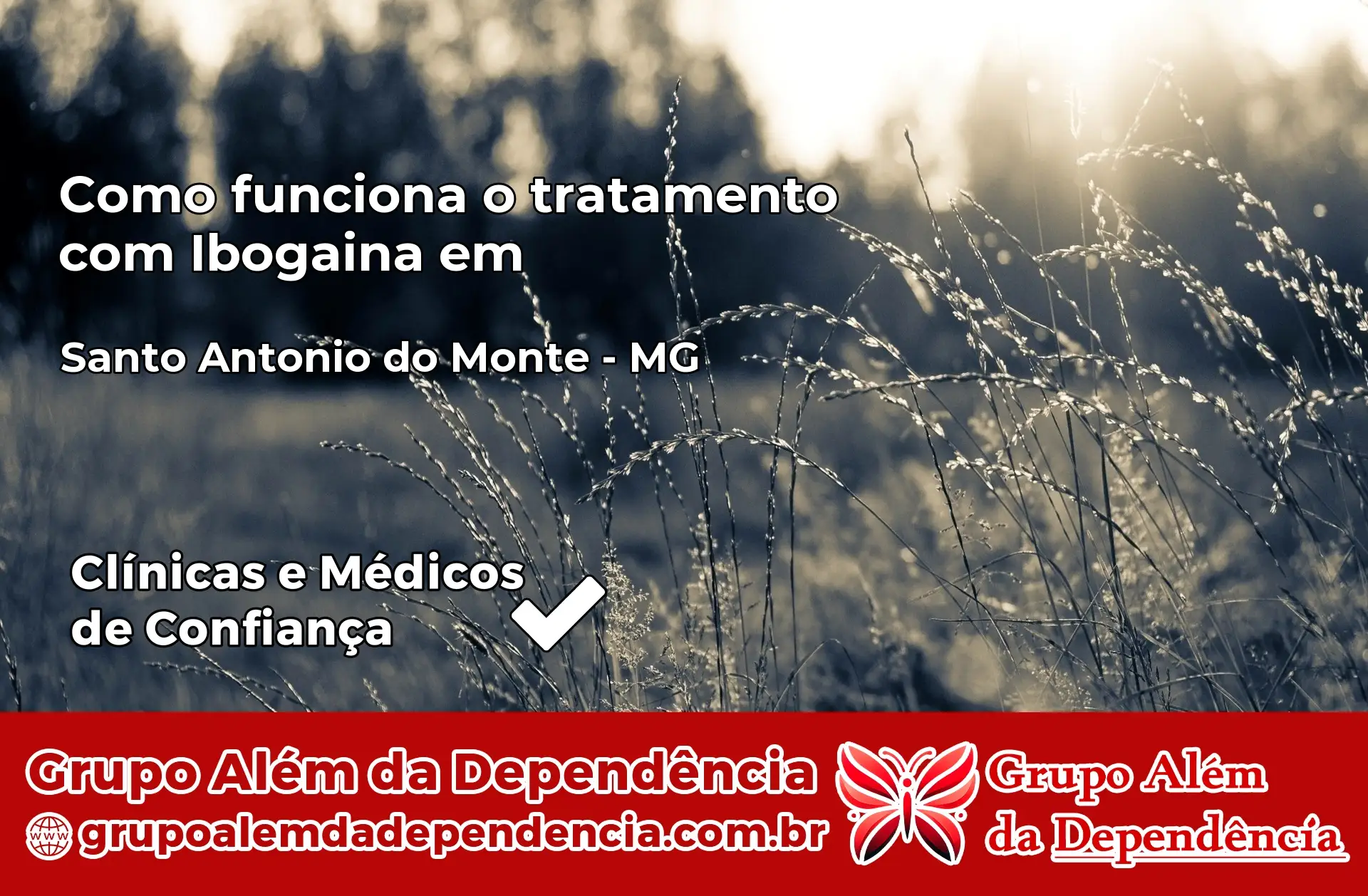 Como Funciona Ibogaína em Santo Antônio do Monte – MG