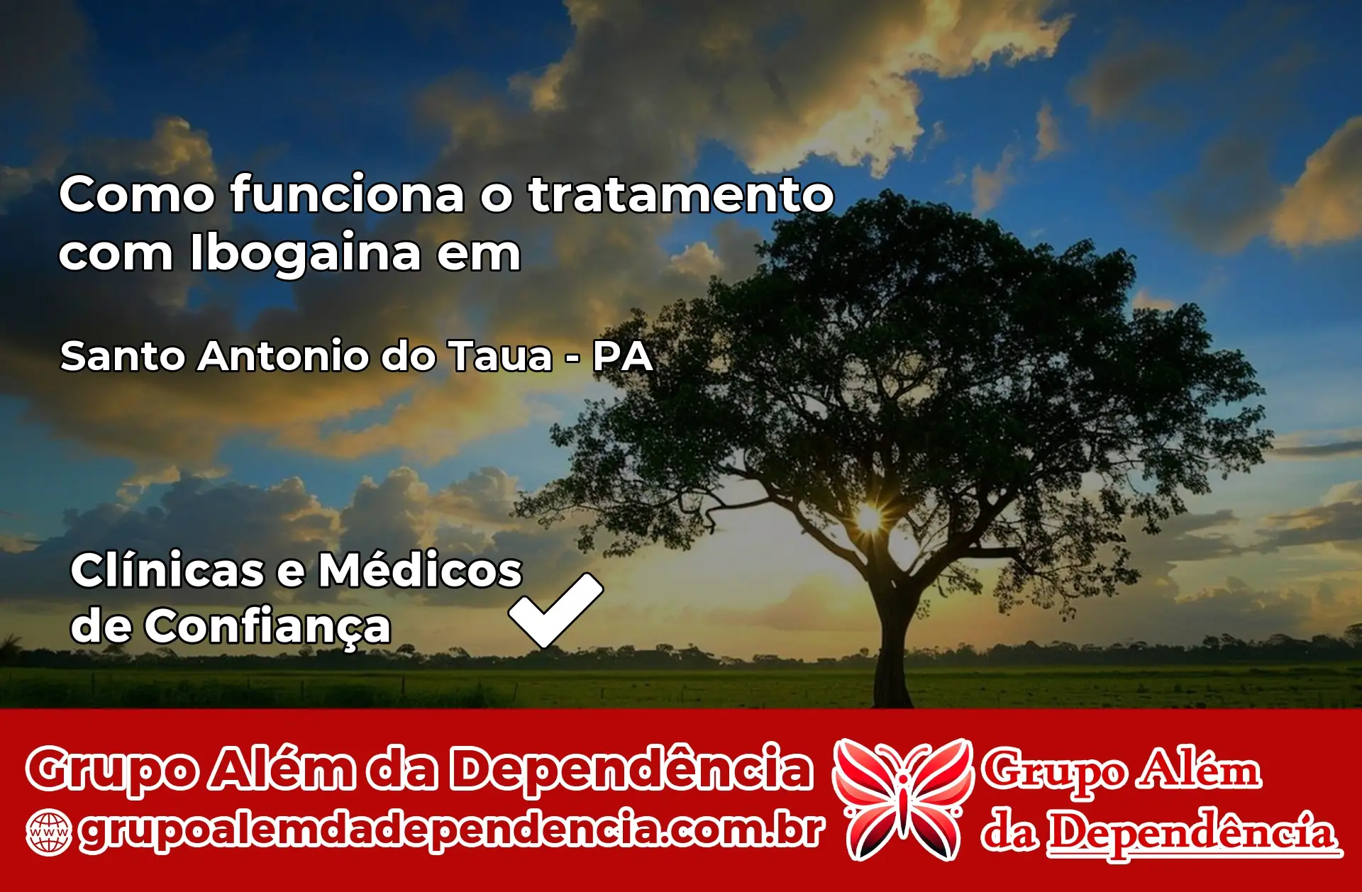 Como Funciona Ibogaína em Santo Antônio do Tauá – PA