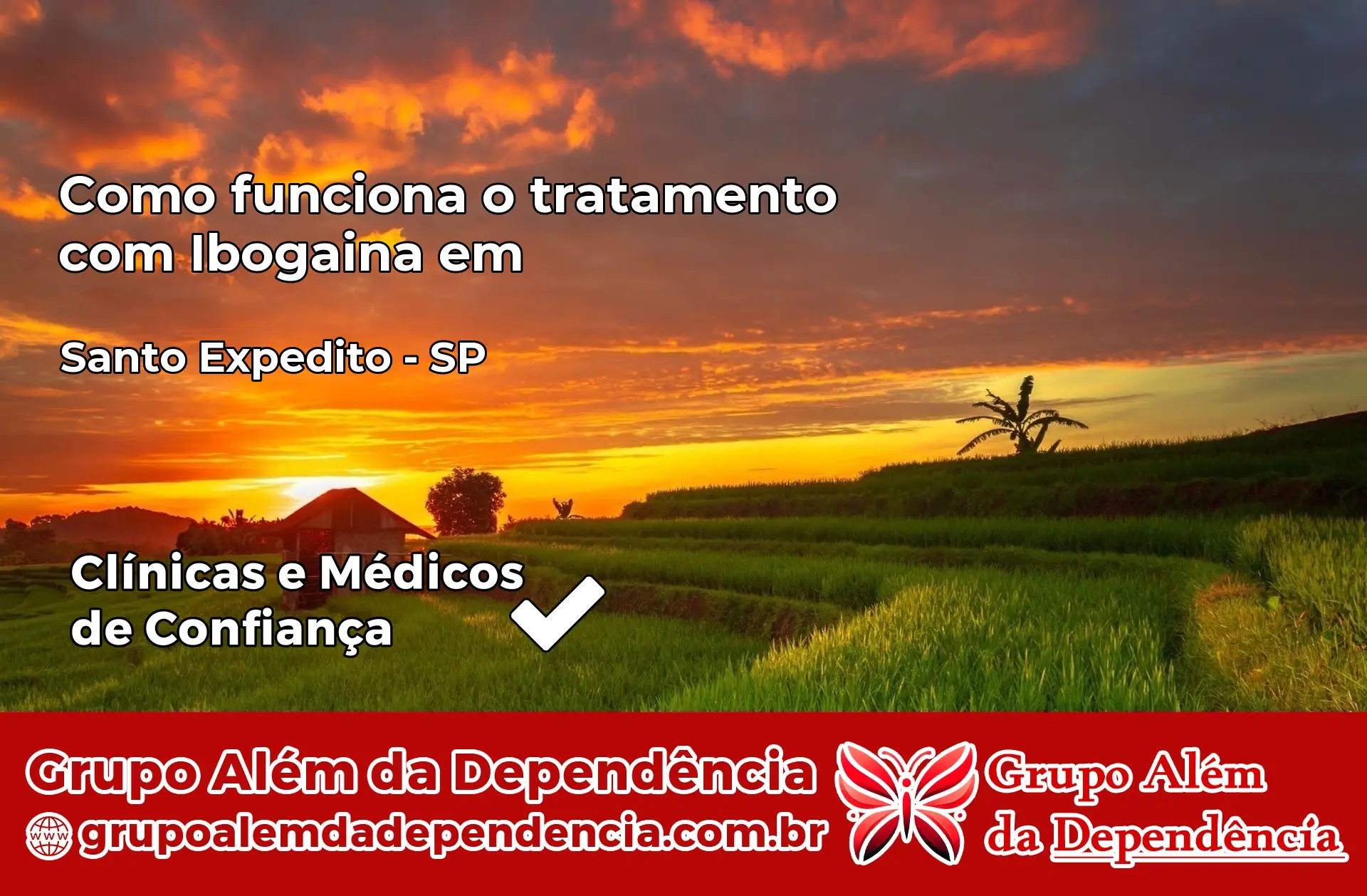 Como Funciona Ibogaína em Santo Expedito – SP