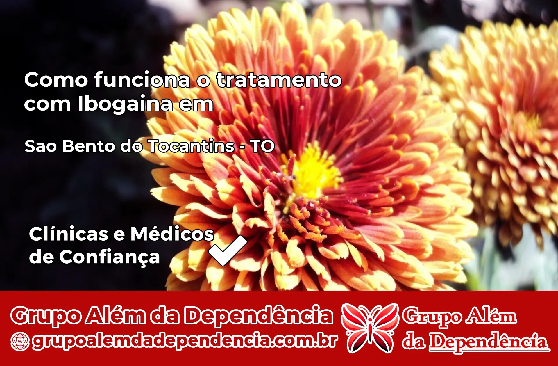 Como Funciona Ibogaína em São Bento do Tocantins – TO