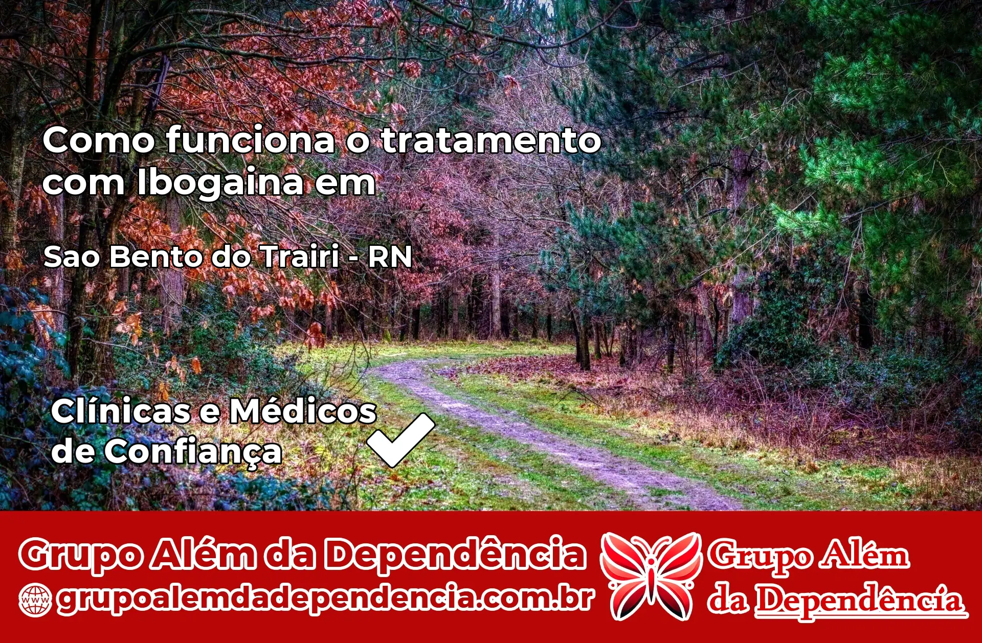 Como Funciona Ibogaína em São Bento do Trairí – RN