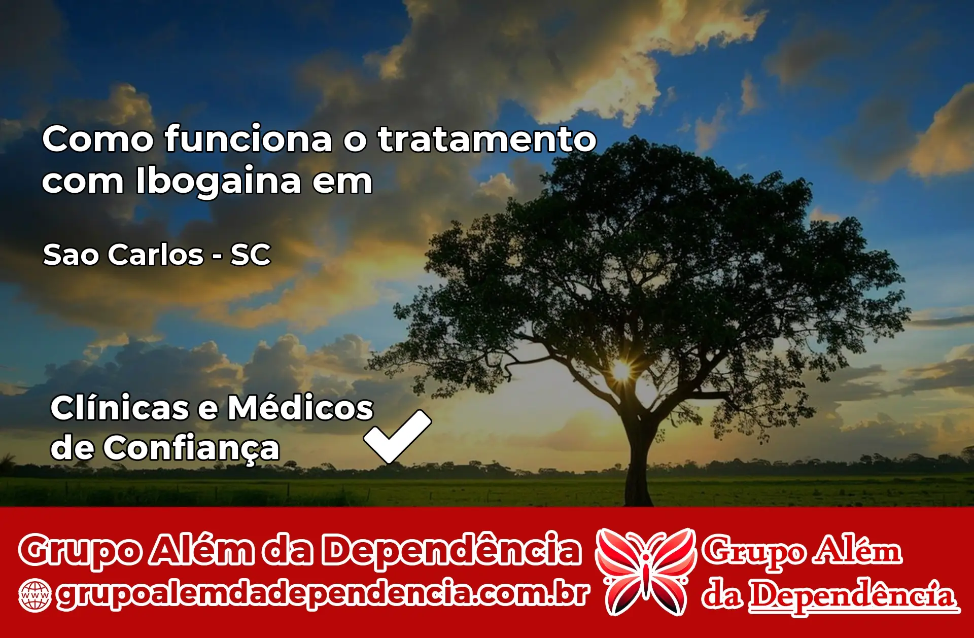 Como Funciona Ibogaína em São Carlos – SC