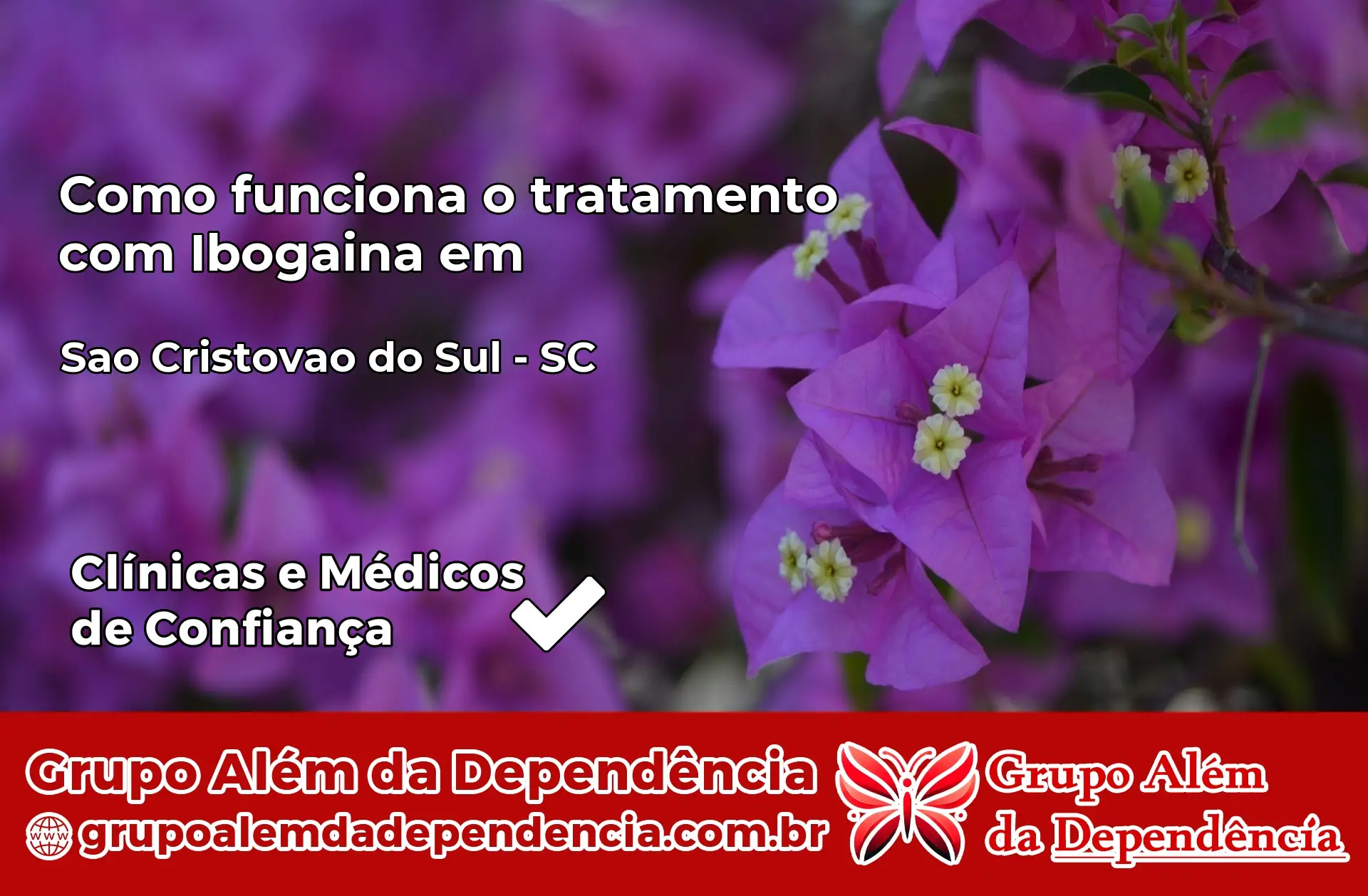 Como Funciona Ibogaína em São Cristóvão do Sul – SC