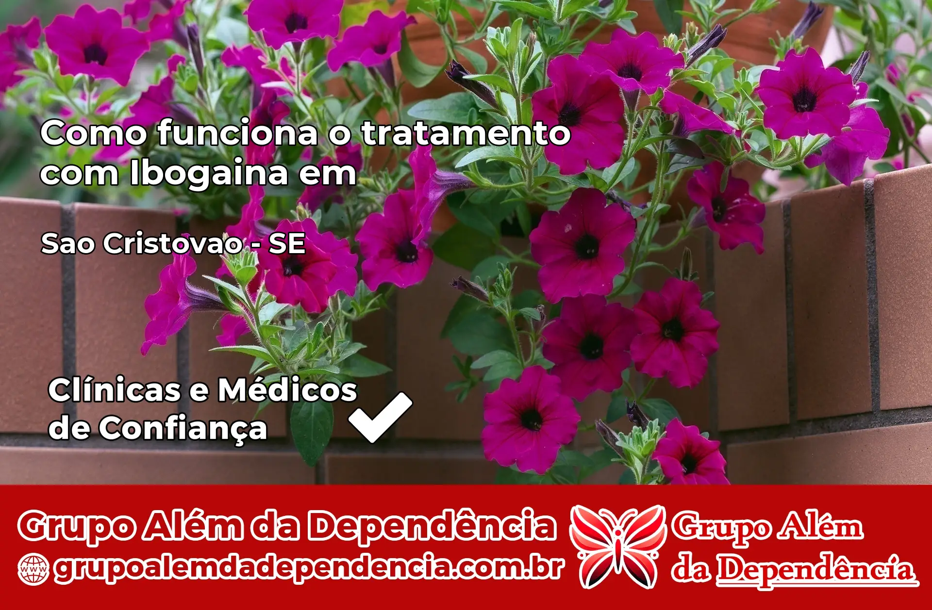 Como Funciona Ibogaína em São Cristóvão – SE