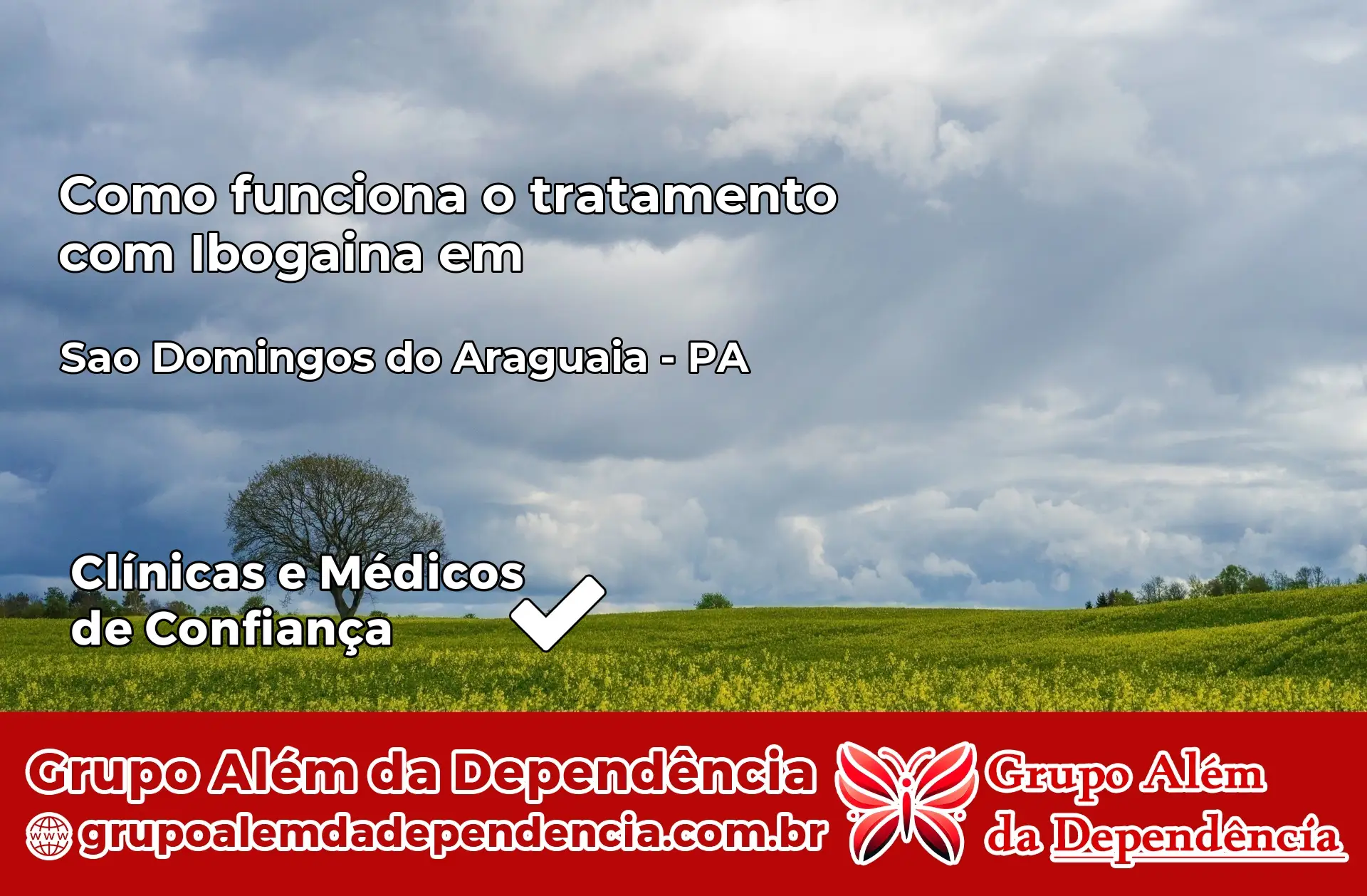 Como Funciona Ibogaína em São Domingos do Araguaia – PA