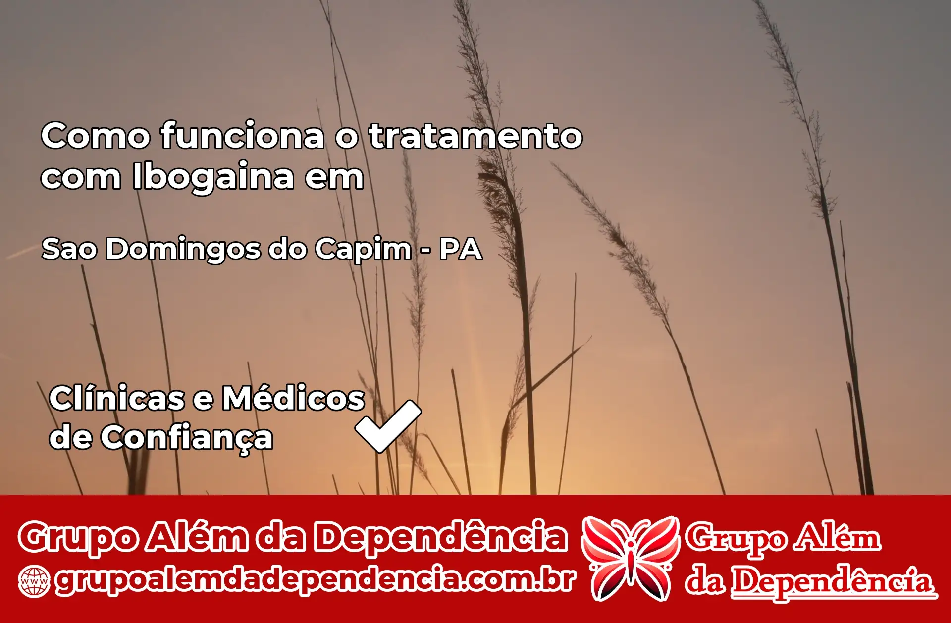 Como Funciona Ibogaína em São Domingos do Capim – PA
