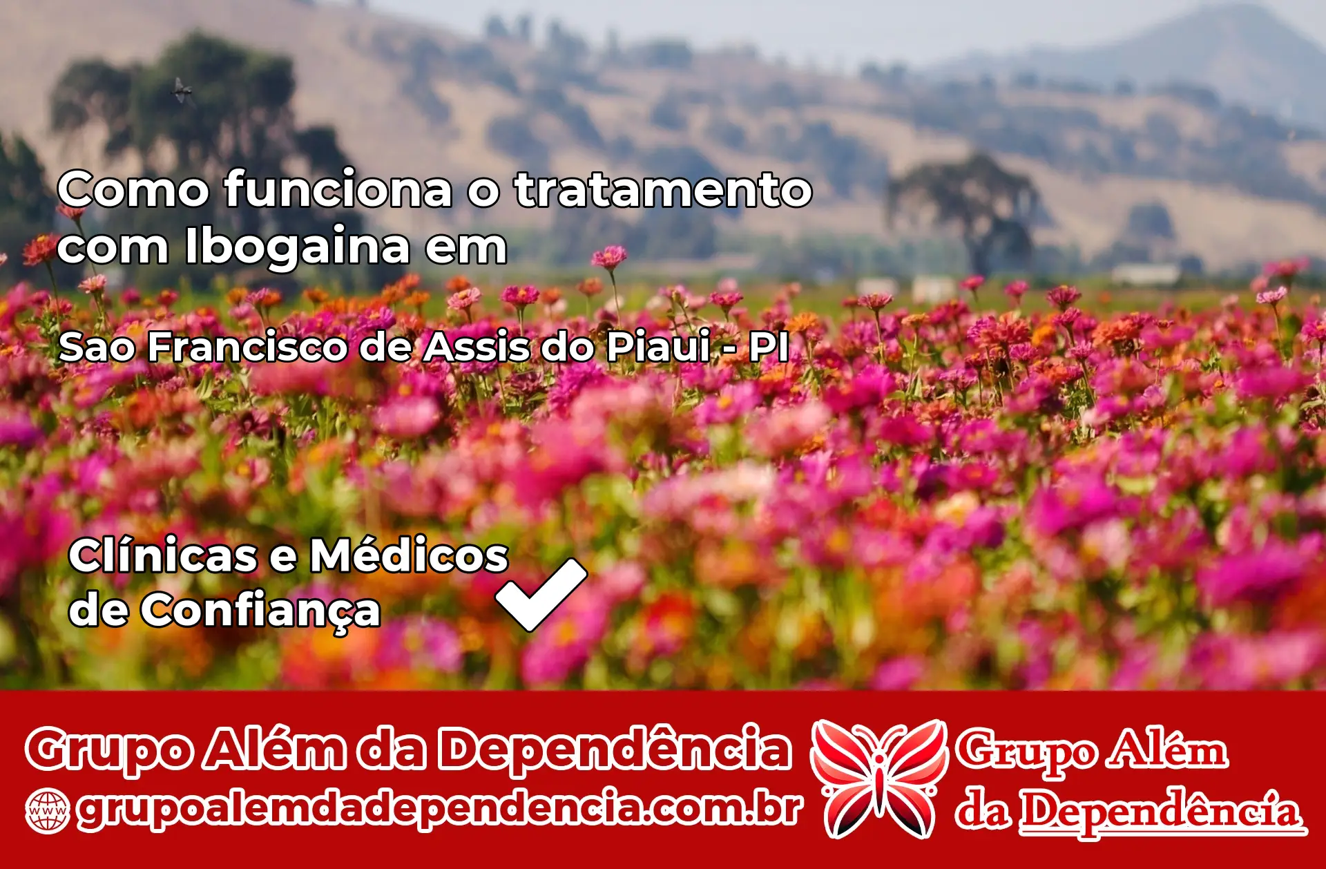 Como Funciona Ibogaína em São Francisco de Assis do Piauí – PI