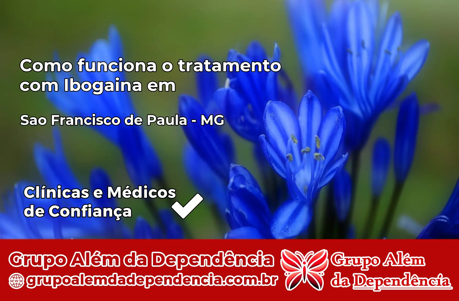 Como Funciona Ibogaína em São Francisco de Paula – MG