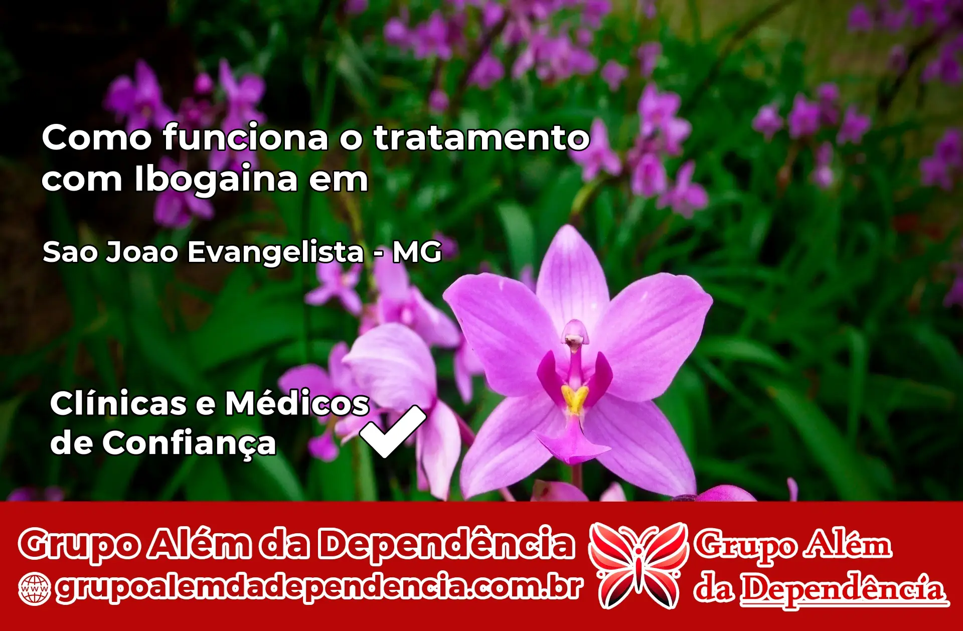 Como Funciona Ibogaína em São João Evangelista – MG