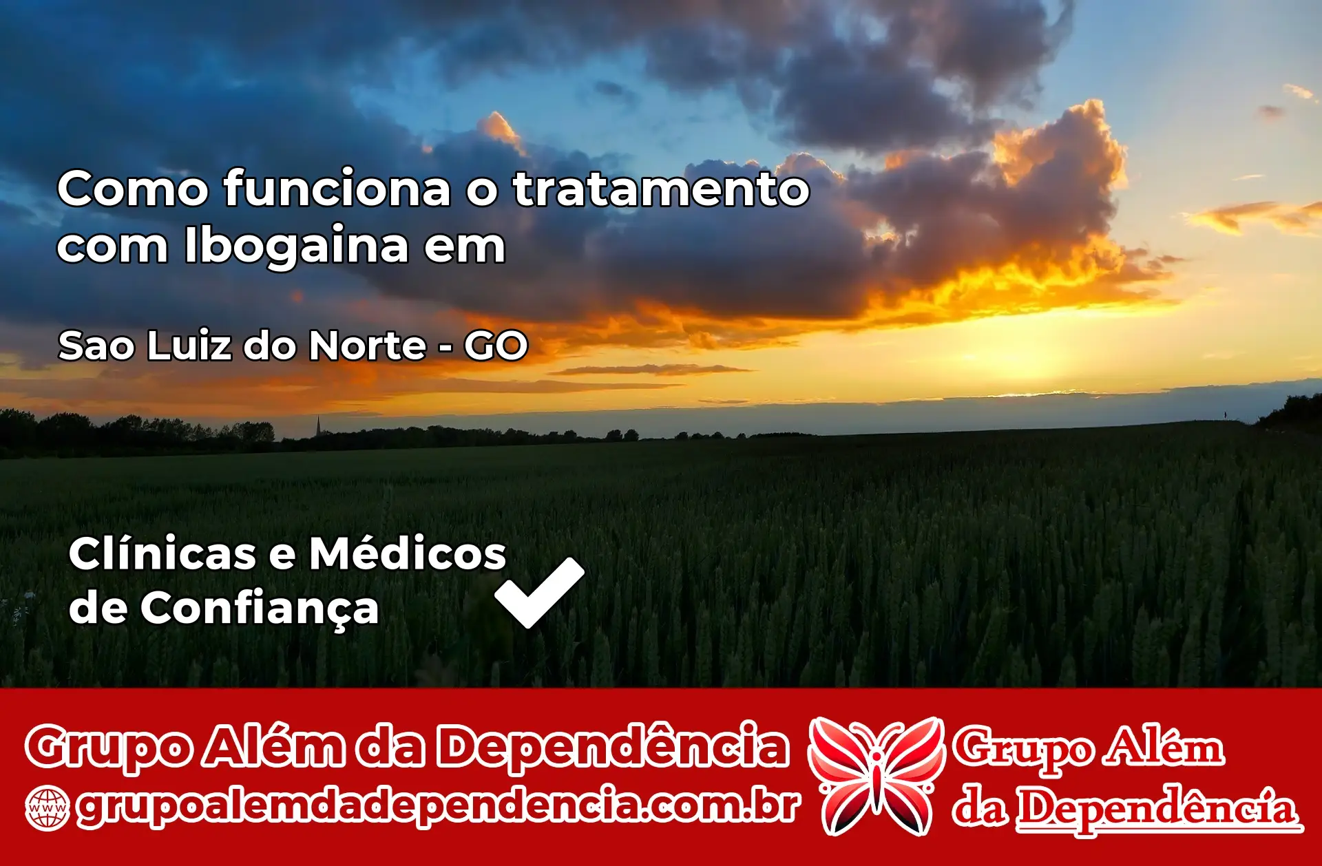 Como Funciona Ibogaína em São Luiz do Norte – GO