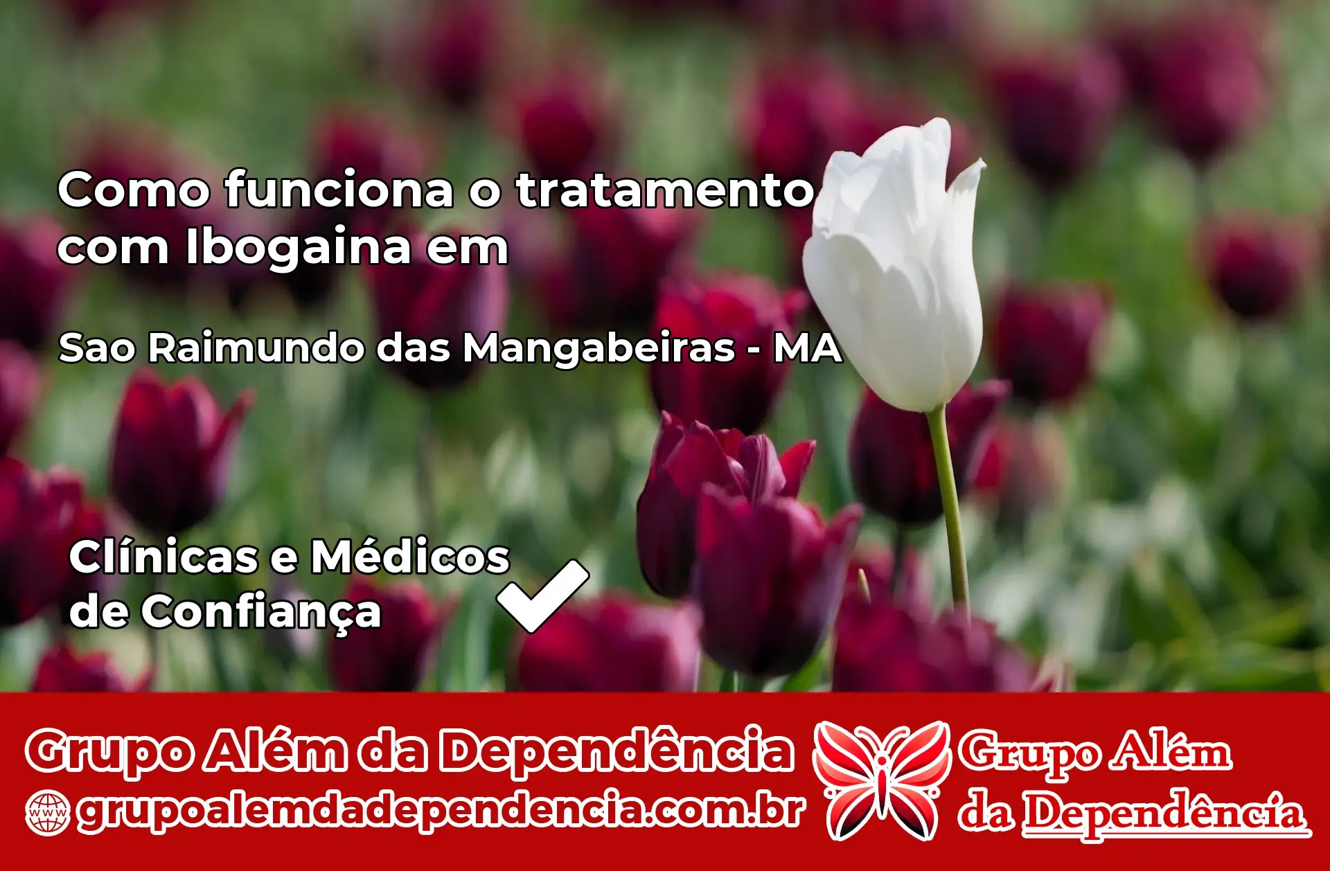 Como Funciona Ibogaína em São Raimundo das Mangabeiras – MA
