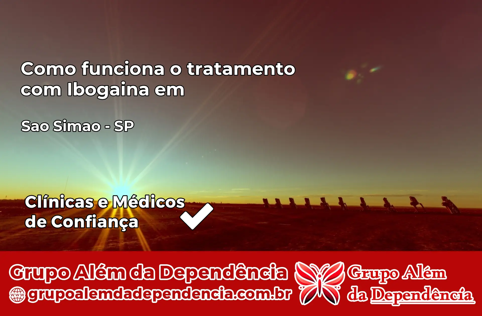 Como Funciona Ibogaína em São Simão – SP