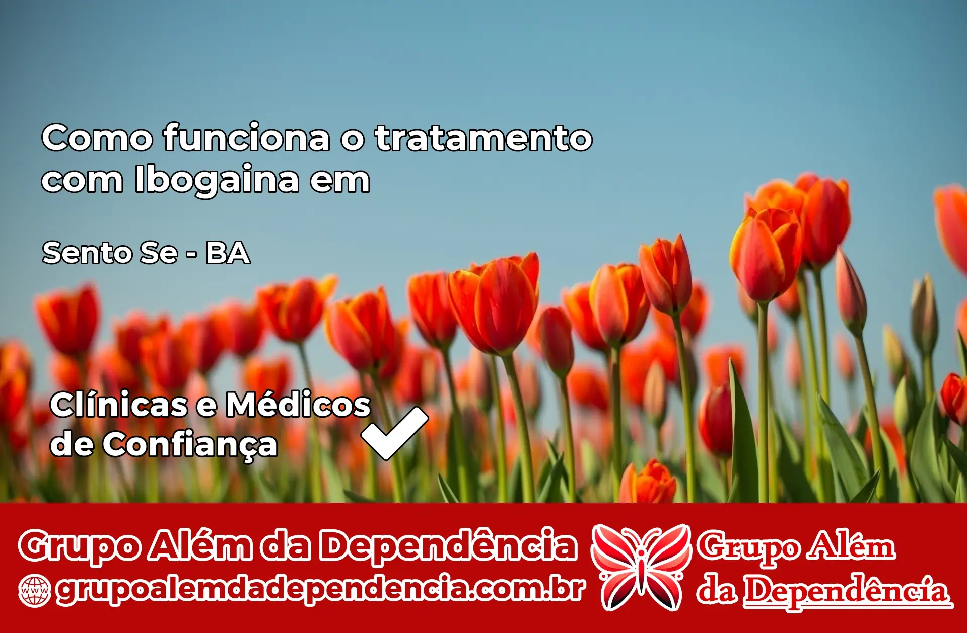 Como Funciona Ibogaína em Sento Sé – BA